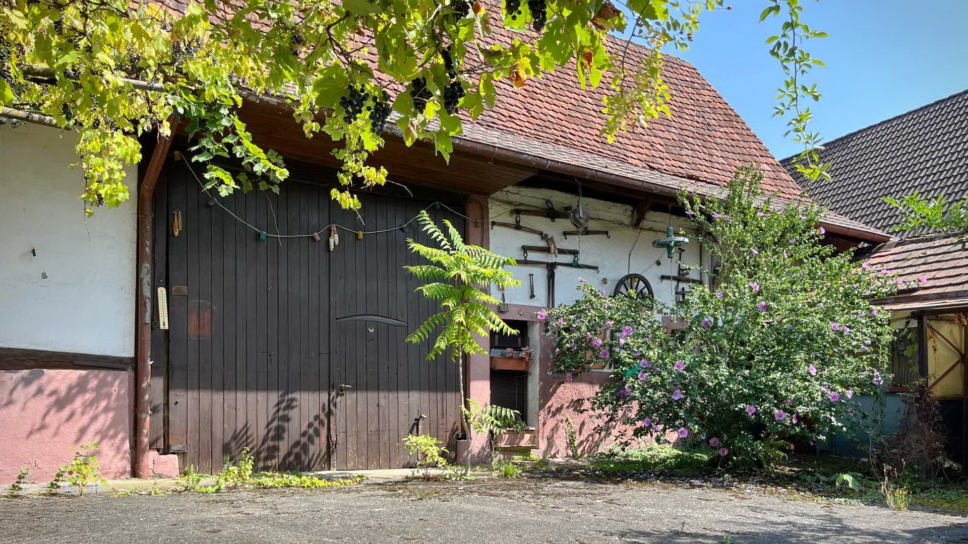 Immobilienangebot - Freiburg i. Br. / Tiengen - Grundstücke - Tiengen | Ruhig gelegenes, großzügiges Baugrundstück