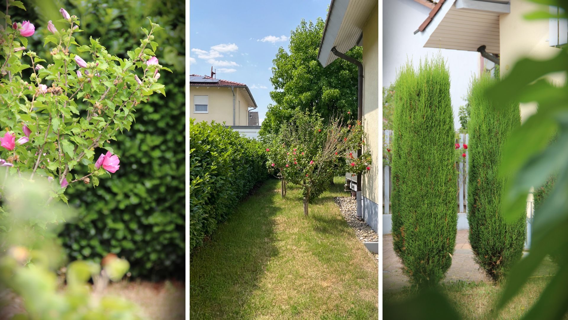Immobilienangebot - Breisach am Rhein / Oberrimsingen - Wohnen & Investment & Rest - Ruhig gelegene Doppelhaushälfte in naturnaher Lage