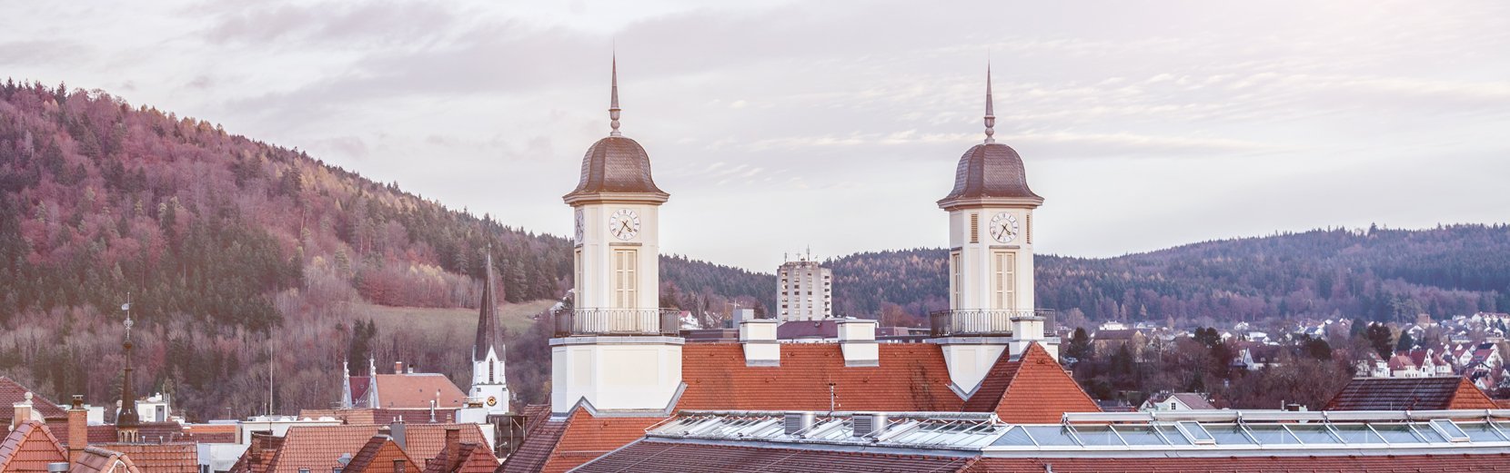 Leibinger-Immobilien-Tuttlingen-4