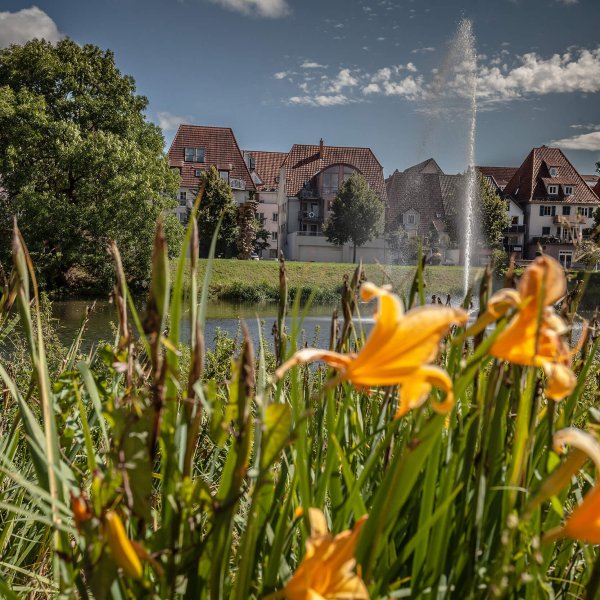 Immobilienbüro in Tuttlingen & am Bodensee - Leibinger Immobilien
