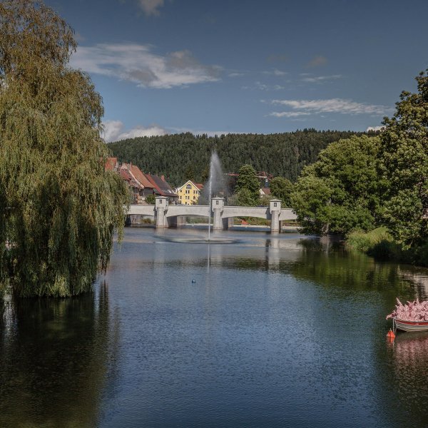 Immobilienverkauf in Tuttlingen & Bodensee - Leibinger Immobilien