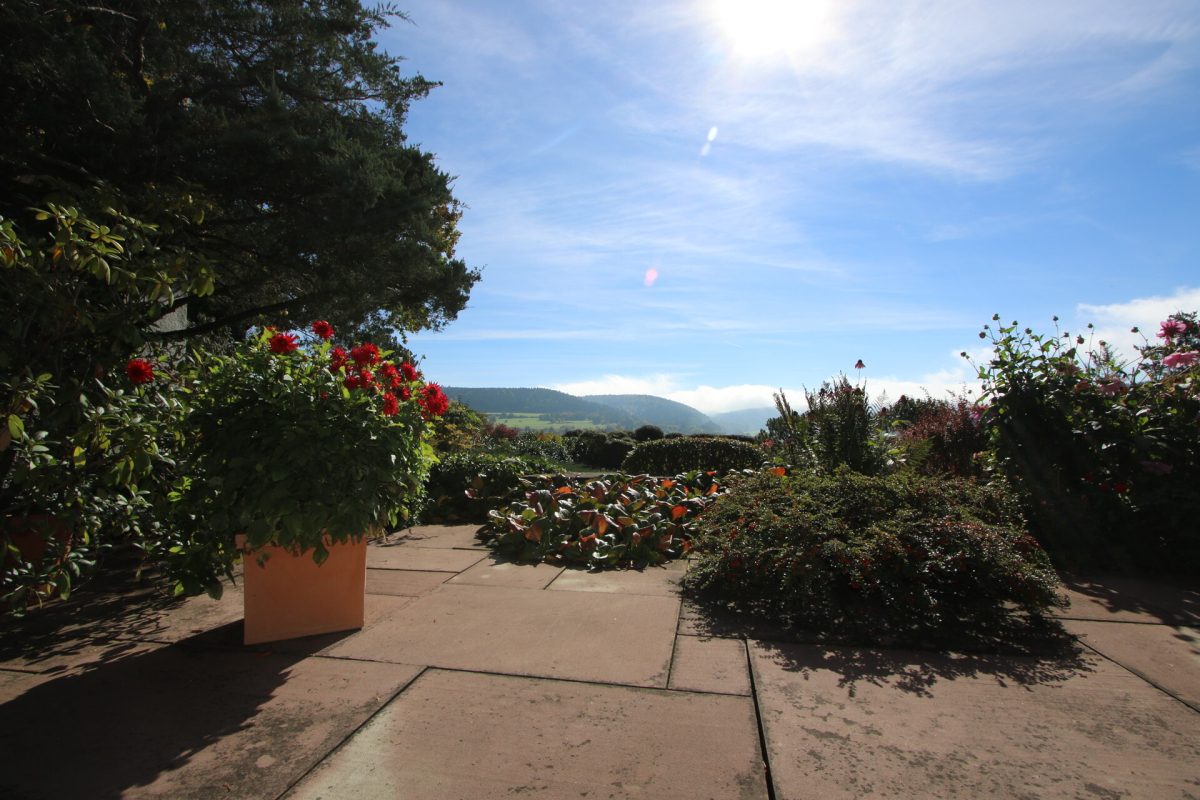 Ingo Leibinger Immobilienvermittlung - Immobilienangebot - Tuttlingen - Alle - Luxuriöser Bungalow in TOP-Aussichtslage, über 3.300qm Grundstück und Hallenbad.