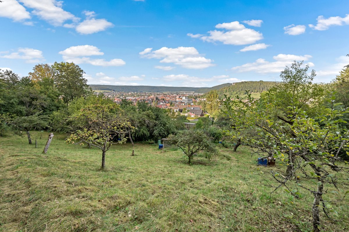 Ingo Leibinger Immobilienvermittlung - Immobilienangebot - Tuttlingen - Grundstücke - PROVISIONSFREI Großes Freizeitgrundstück mit charmantem Gartenhäusle in Tuttlingen