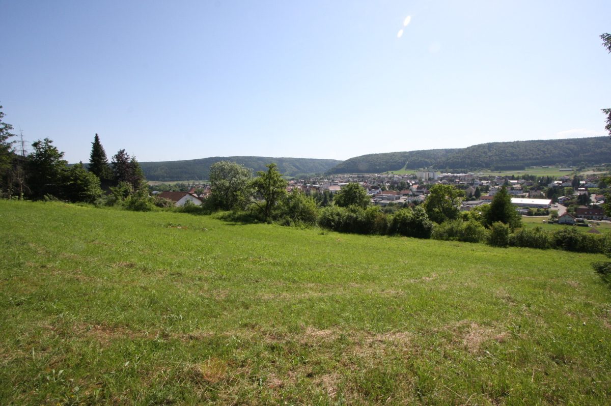 Ingo Leibinger Immobilienvermittlung - Immobilienangebot - Wurmlingen - Grundstücke - Bauplatz in einmaliger Aussichtslage