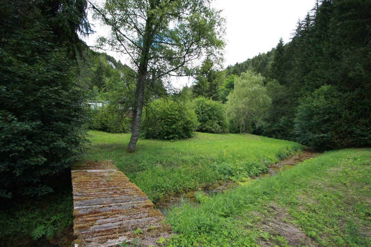 Ingo Leibinger Immobilienvermittlung - Immobilienangebot - Brenthal - Alle - Naturverbundenes Wohnen auf großzügigem Grundstück
