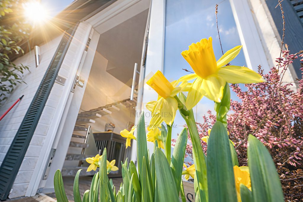 TeamPower Immobilien GmbH - Immobilienangebot - Arpsdorf - Alle - Wer hier nicht besichtigt , der verpasste seine Chance!
