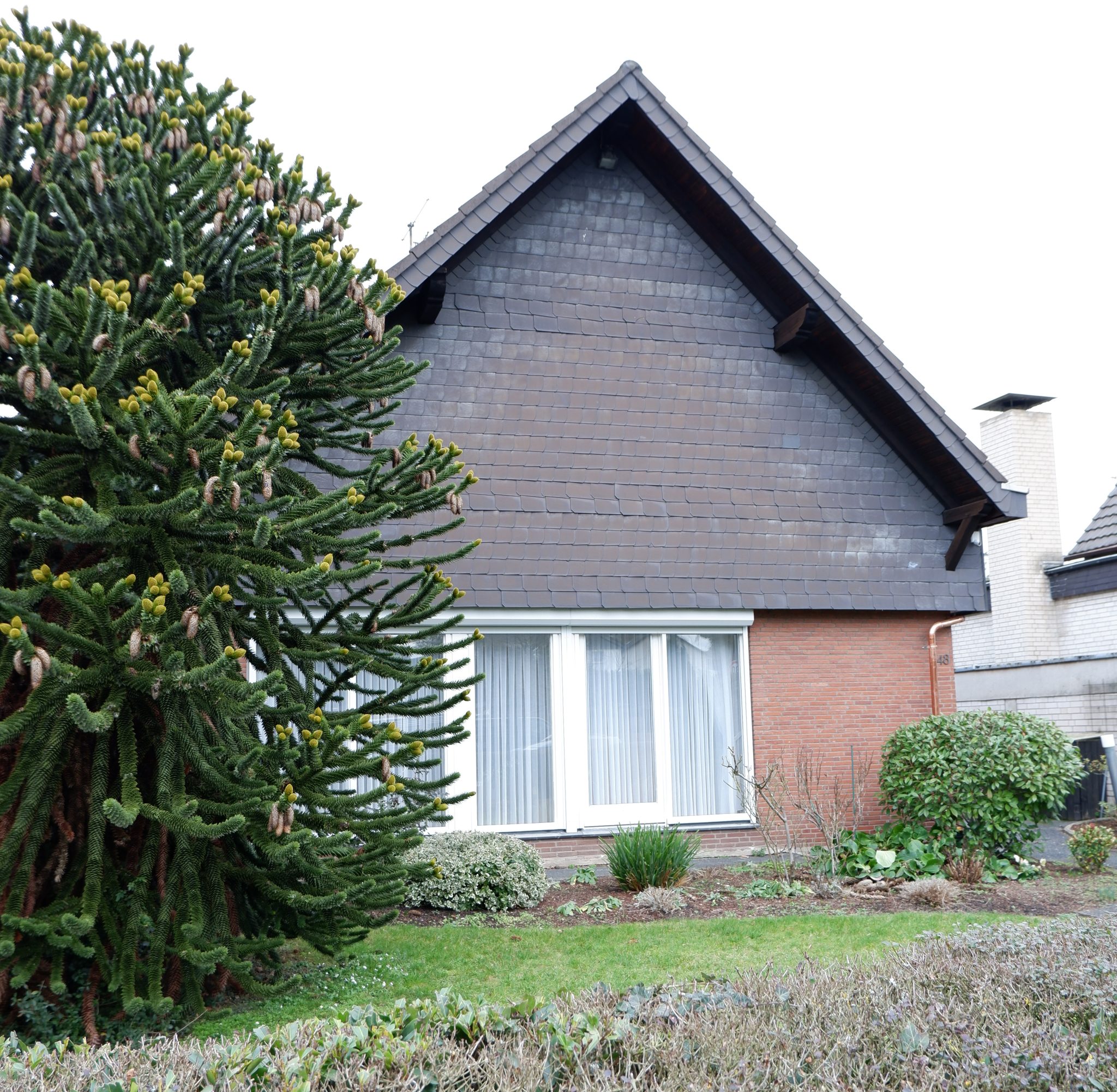 S Immobilienpartner GmbH - Immobilienangebot - Bergisch Gladbach - Paffrath - Paffrath - Einfamilienhaus - Für die Familie
