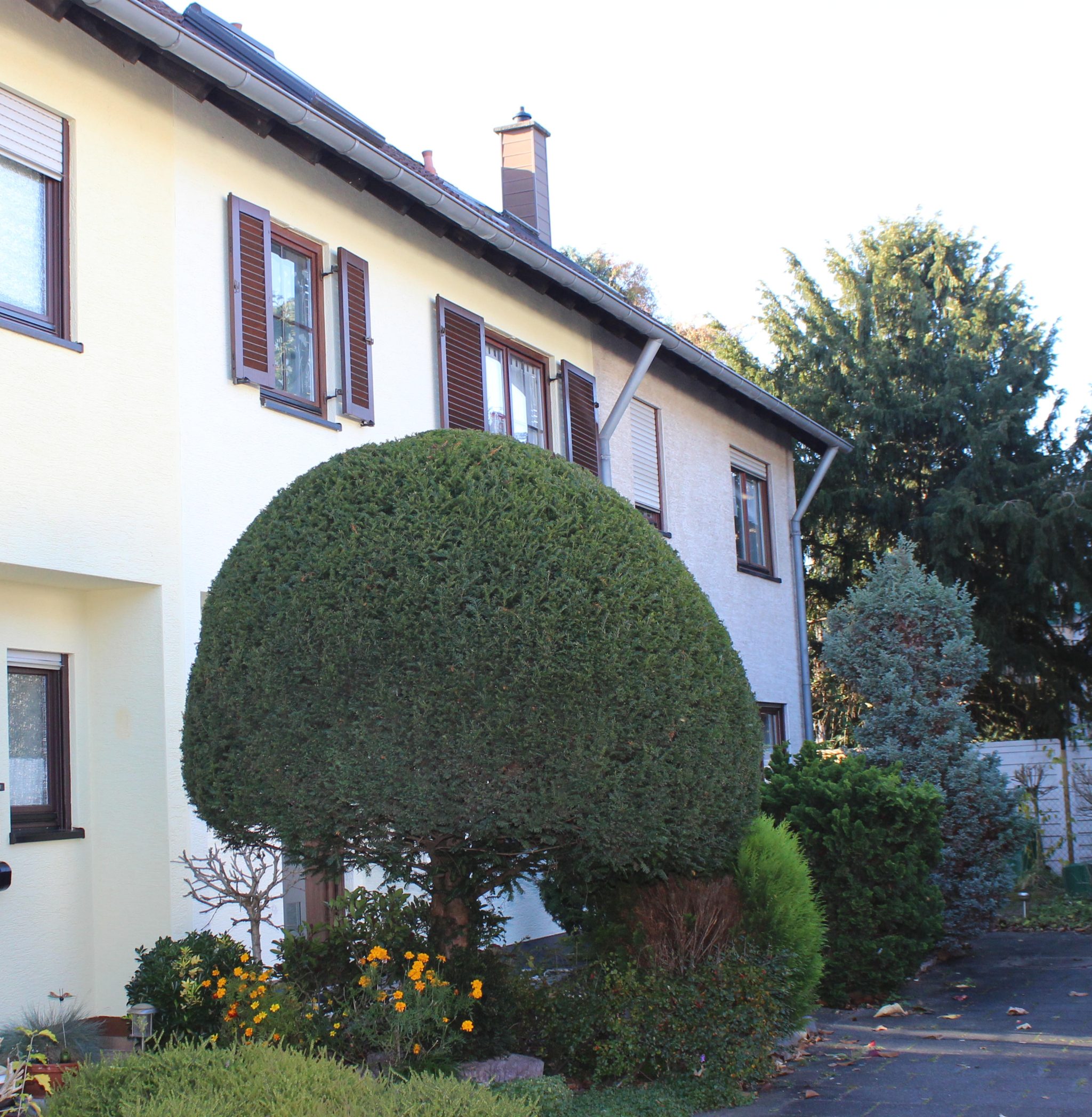 S Immobilienpartner GmbH - Immobilienangebot - Bornheim - Hersel - Hersel - Reihenmittelhaus - Ruhiges Familienglück!