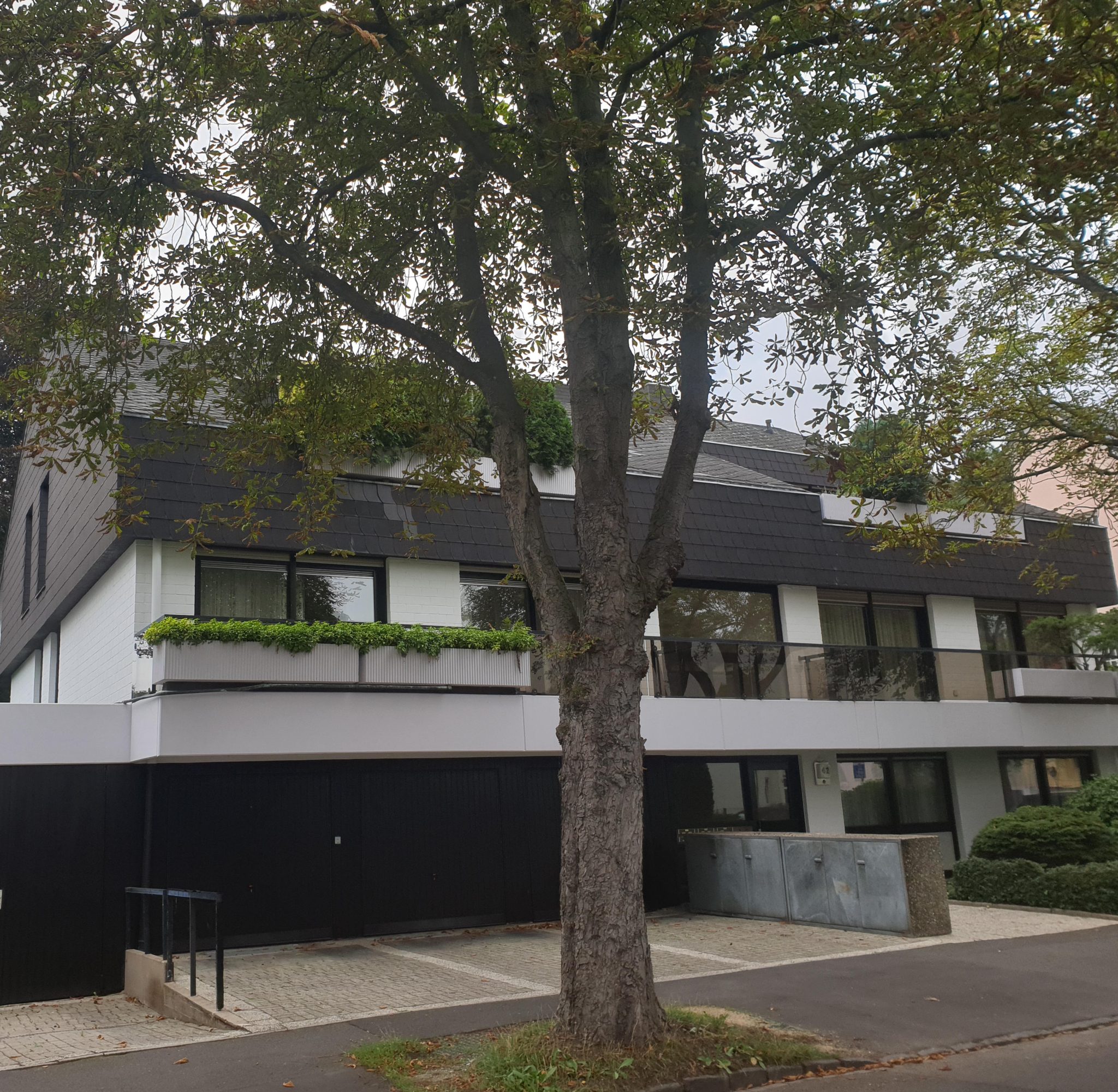 S Immobilienpartner GmbH - Immobilienangebot - Bonn - Rüngsdorf - Rüngsdorf  - Dachgeschosswohnung - Dem Rhein ganz nah!