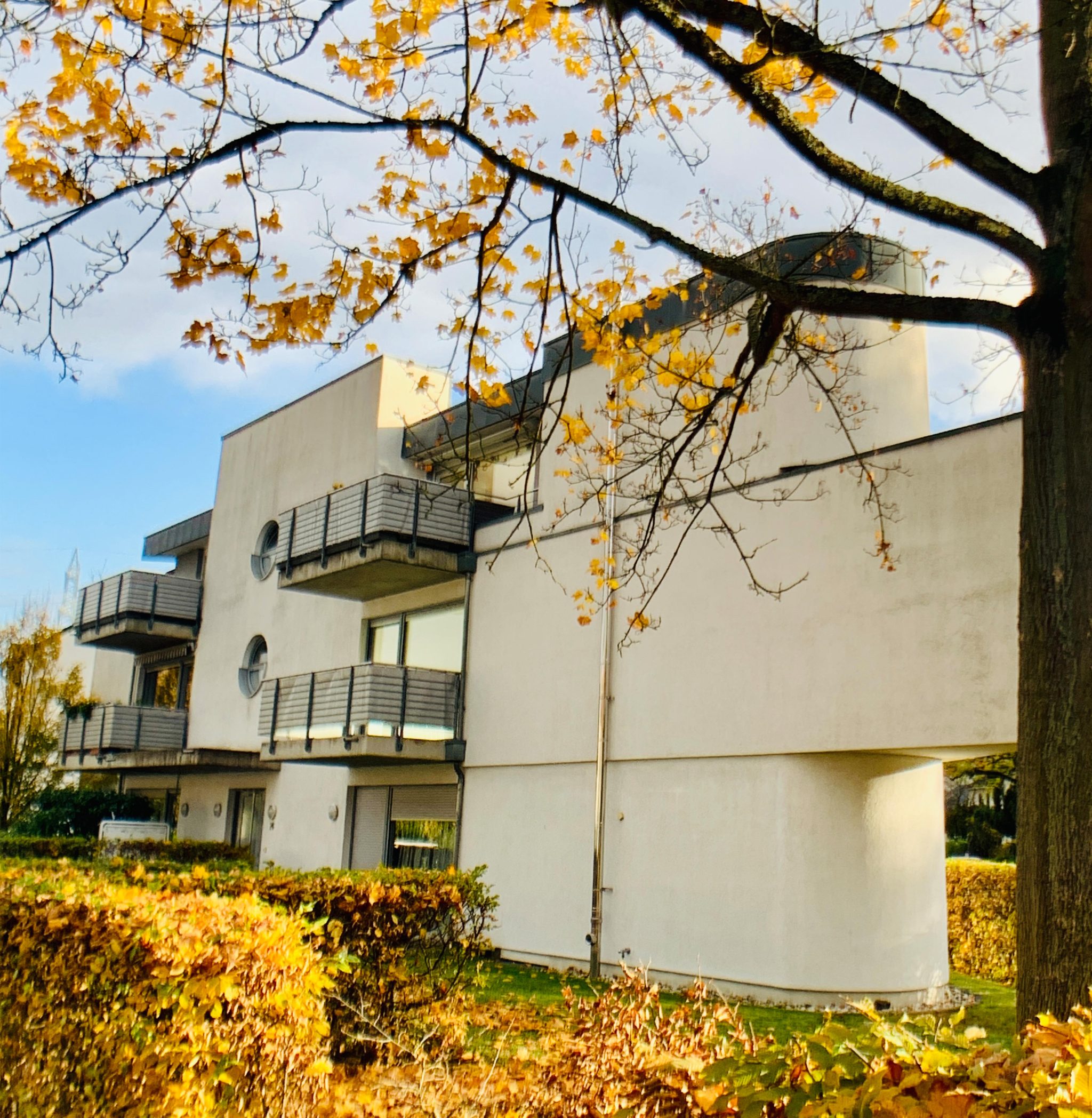 S Immobilienpartner GmbH - Immobilienangebot - Bonn - Mehlem - Mehlem  - Etagenwohnung - Toller Schnitt - toller Blick!