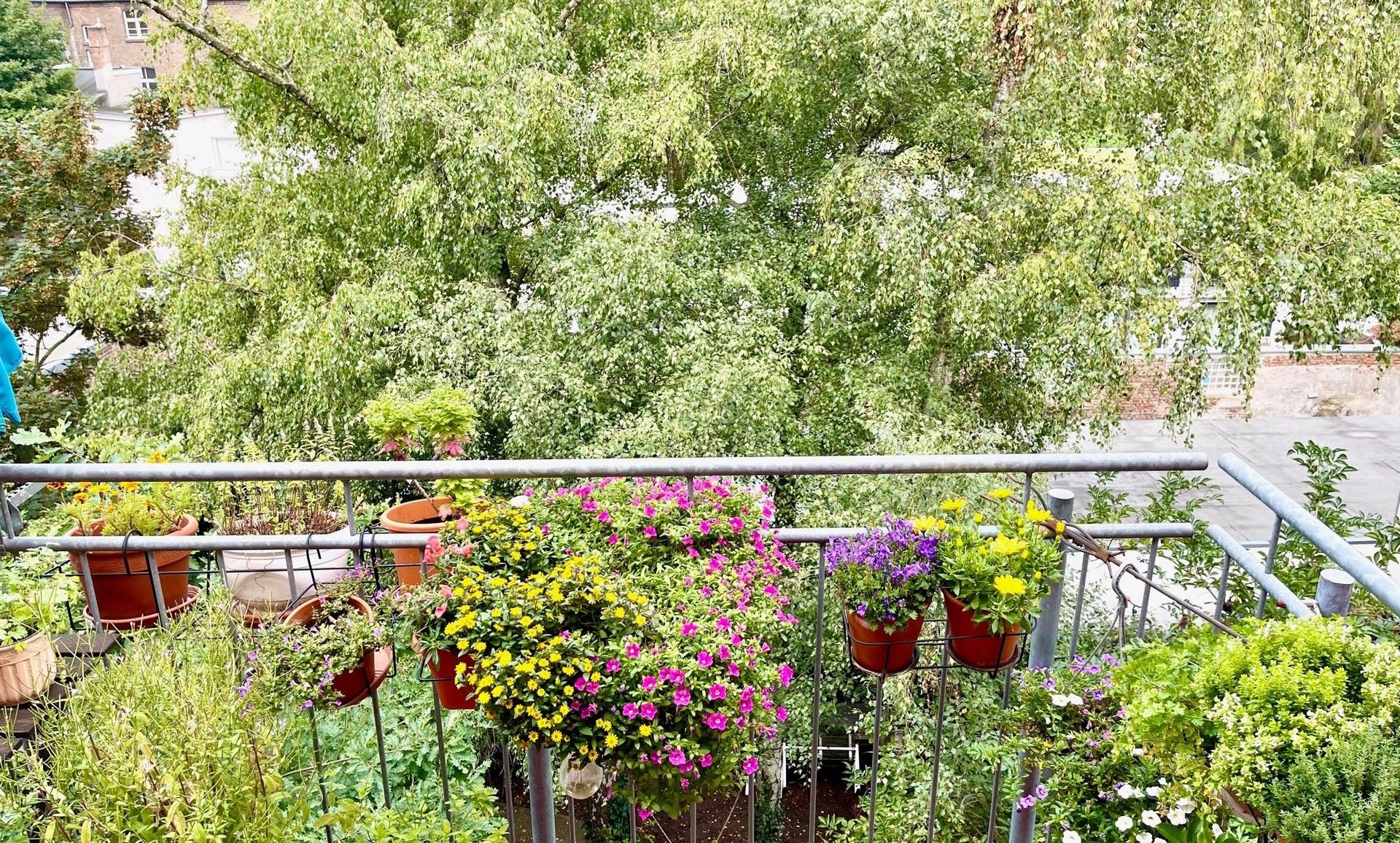 Immobilienangebot - Köln - Haus - Entspannt leben - den Ausblick genießen!