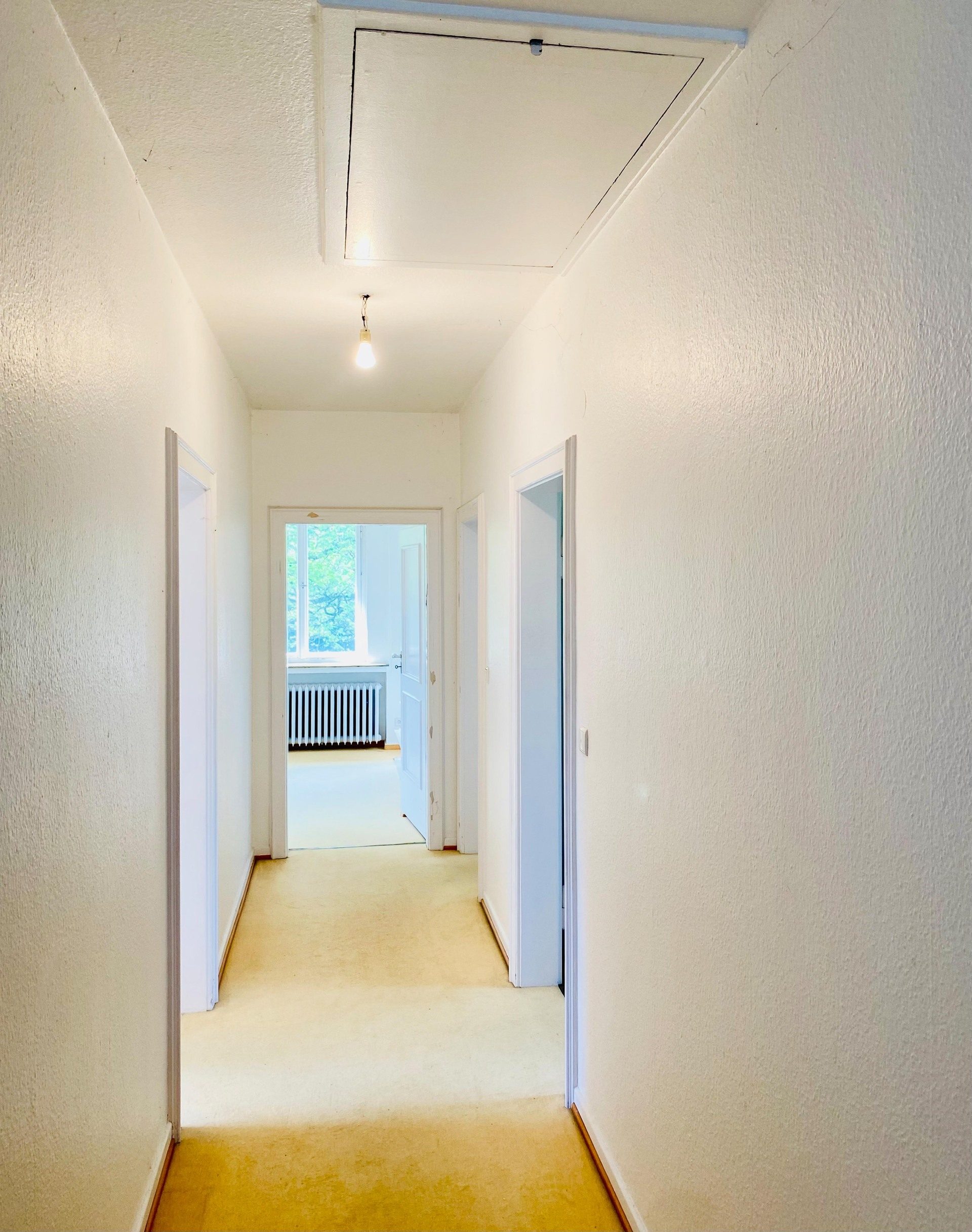 Immobilienangebot - Bonn / Mehlem - Haus - Traumlage in Rheinnähe