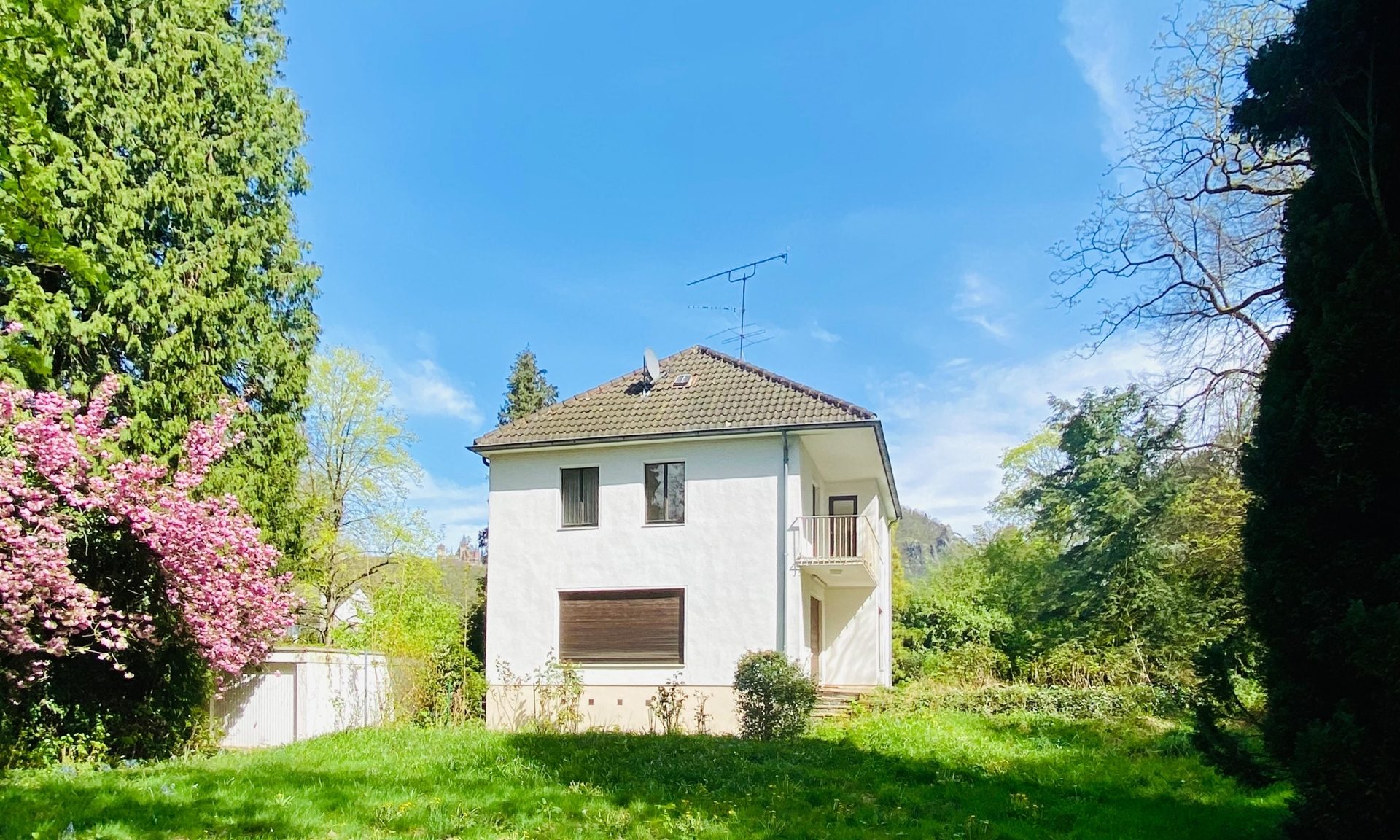 Immobilienangebot - Bonn - Haus - Traumlage in Rheinnähe