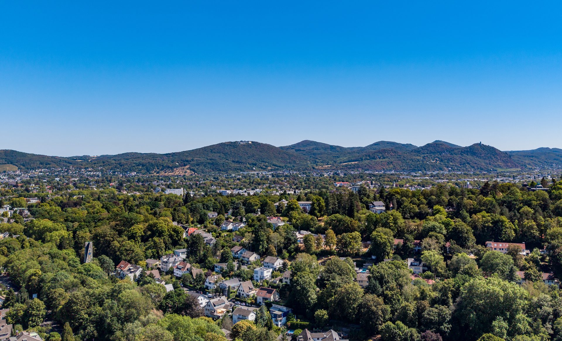 Immobilienangebot - Bonn - Wohnung - Villa am Stadtwald – Großzügige Wohnkultur für höchste Ansprüche