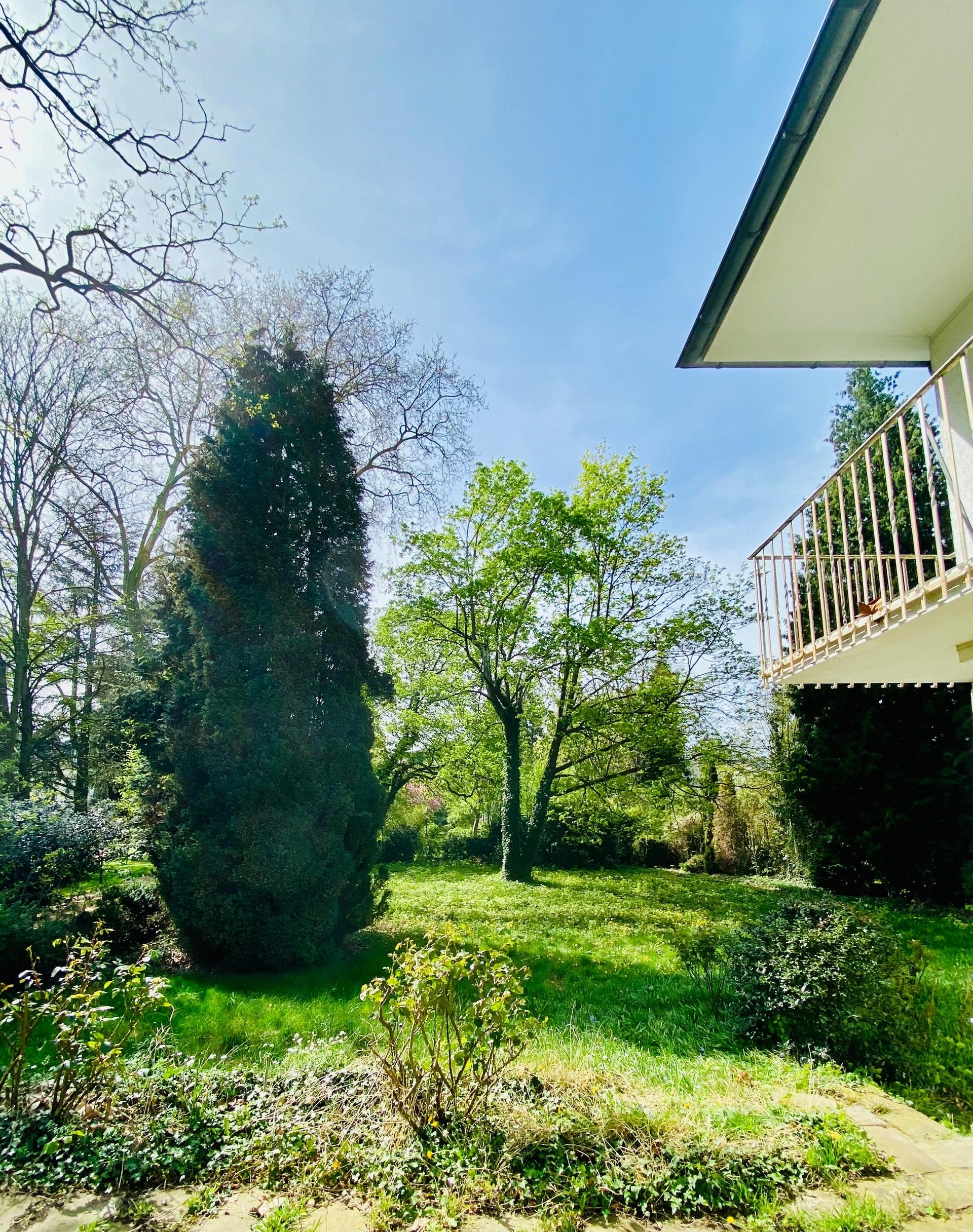 Immobilienangebot - Bonn / Mehlem - Grundstück - Traumlage in Rheinnähe