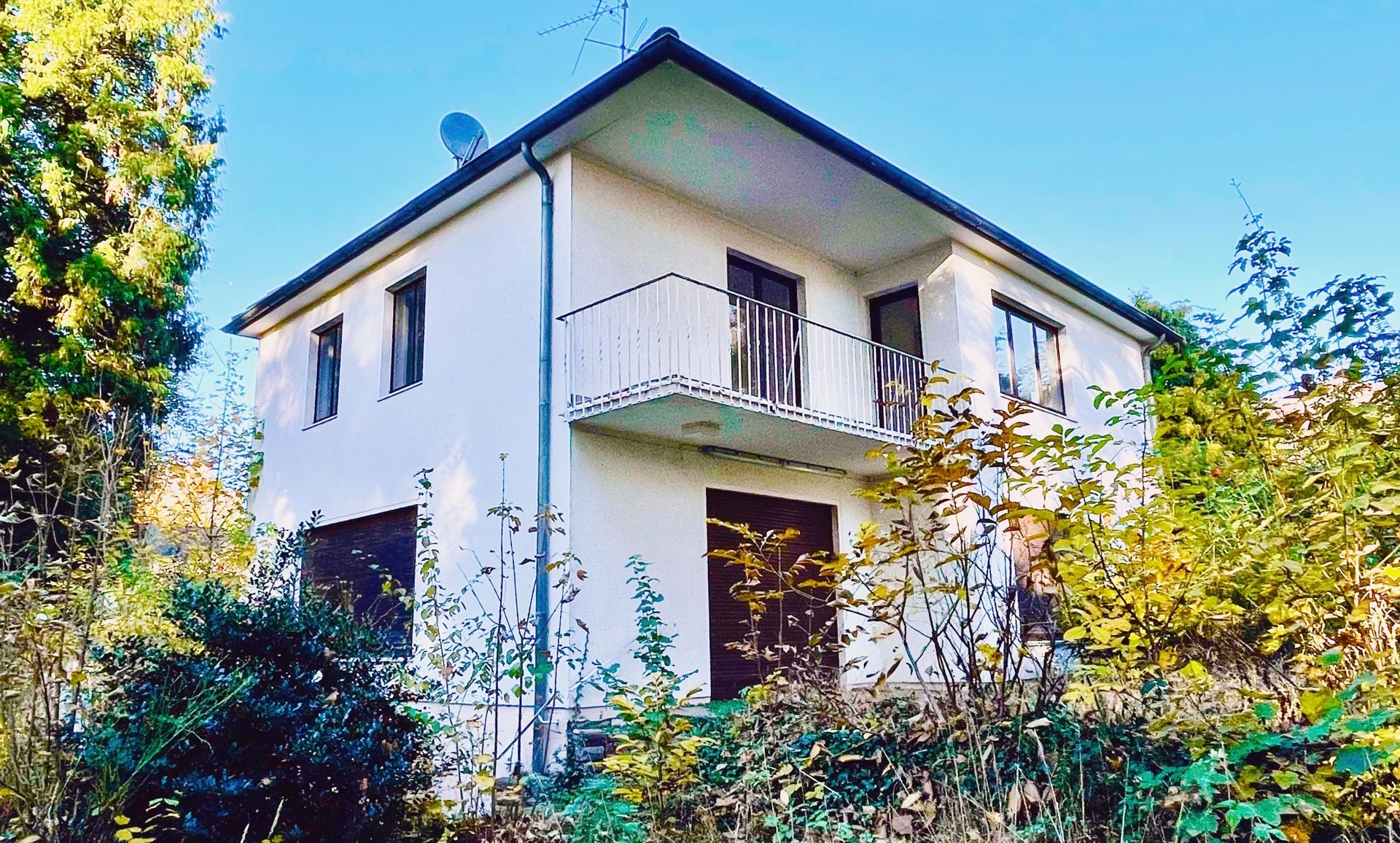 Immobilienangebot - Bonn / Mehlem - Grundstück - Traumlage in Rheinnähe
