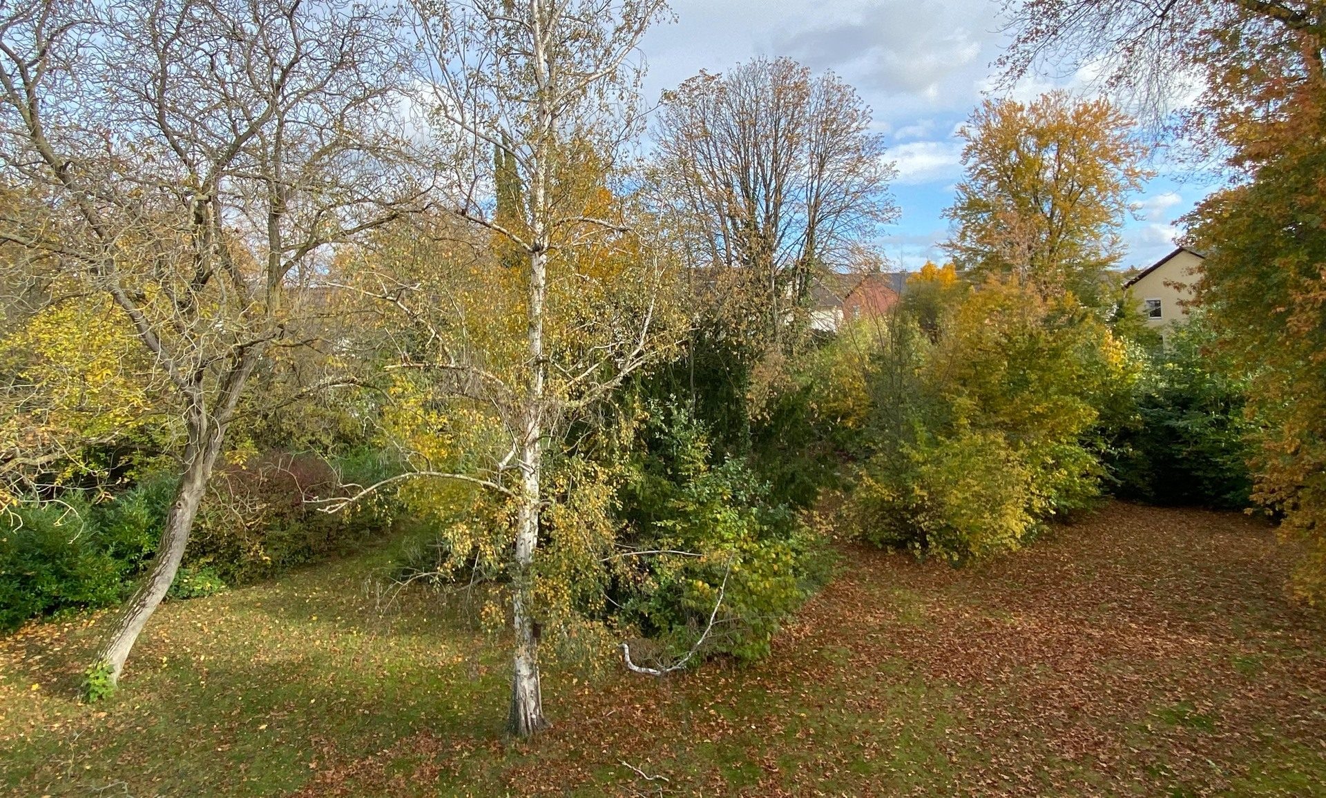 Immobilienangebot - Bonn / Beuel-Mitte - Wohnung - Mit schöner Dachterrasse!