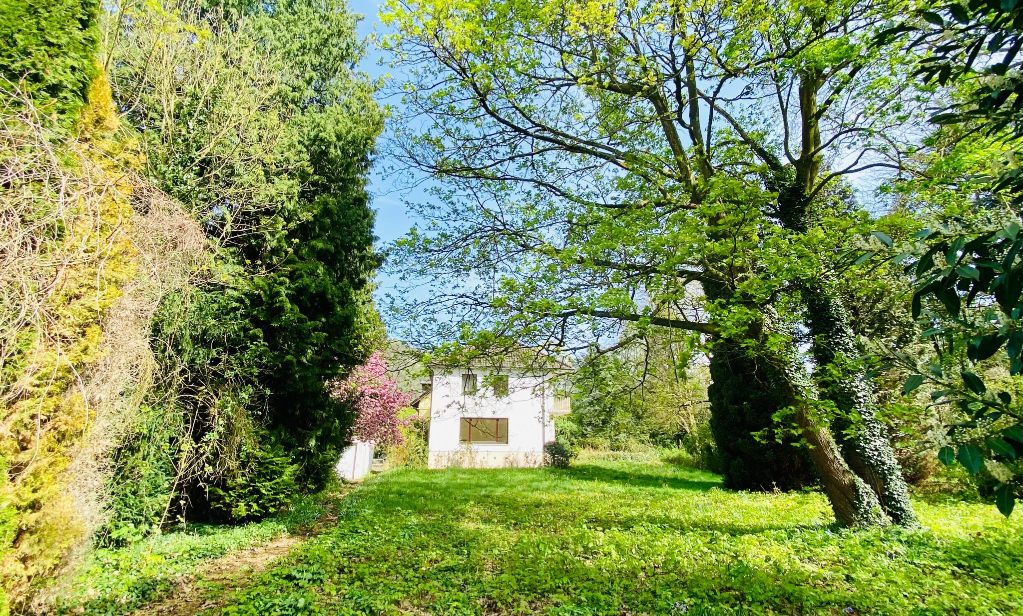 S Immobilienpartner GmbH - Immobilienangebot - Bonn - Mehlem - Mehlem  - Baugrund für Ein- / Zweifamilienhäuser - Traumlage in Rheinnähe
