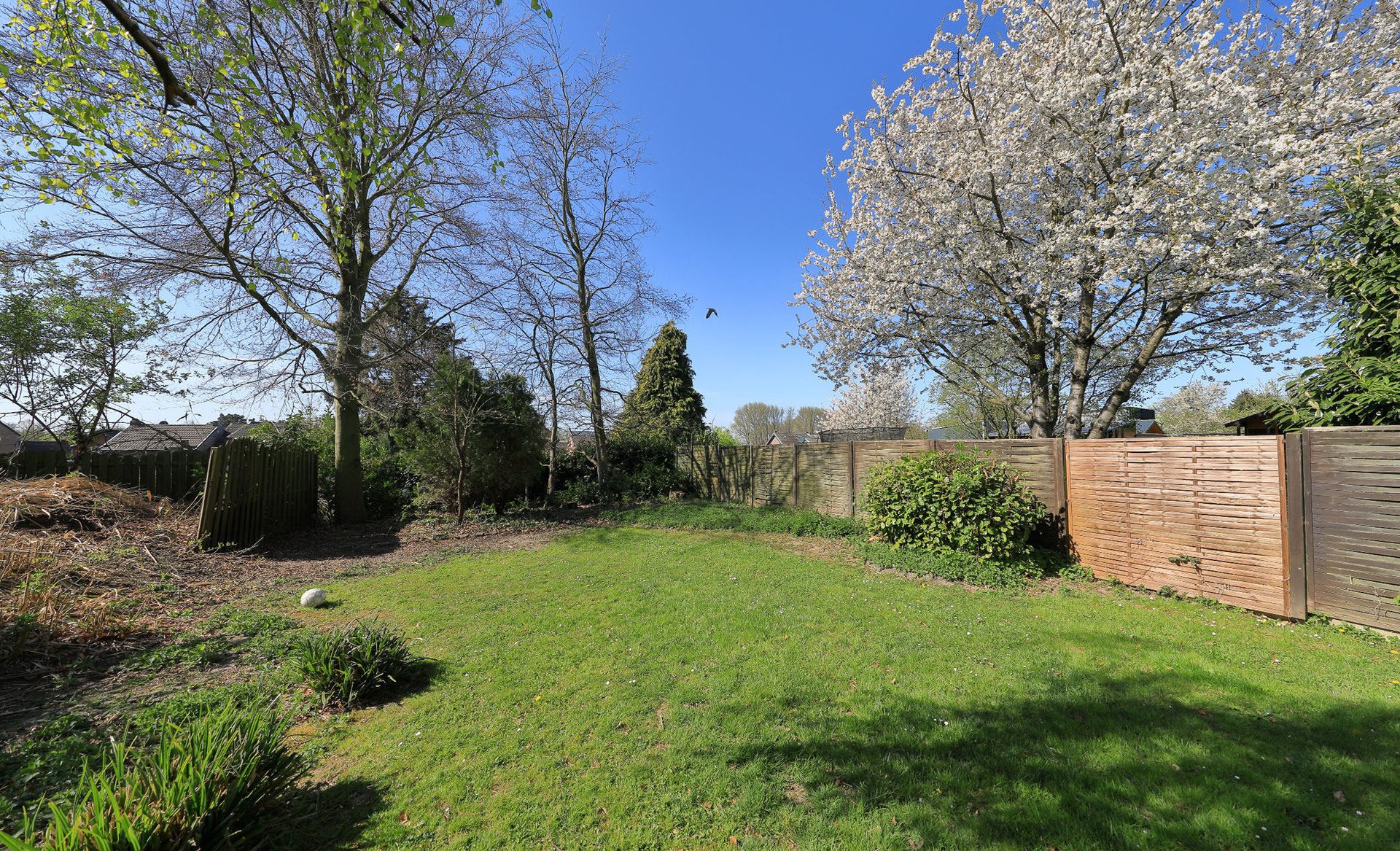 Immobilienangebot - Niederzier - Haus - Ein neues Zuhause - freistehendes Einfamilienhaus mit Sonnengrundstück!