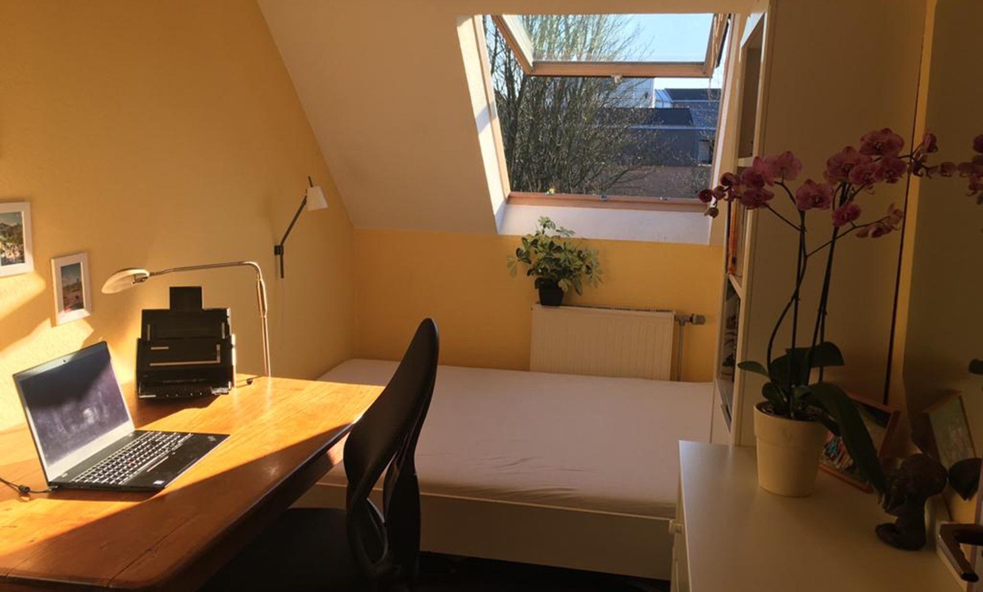 Immobilienangebot - Bergisch Gladbach / Hebborn - Haus - Familienfreundlich mittendrin. Ruhige Lage mit viel Platz!