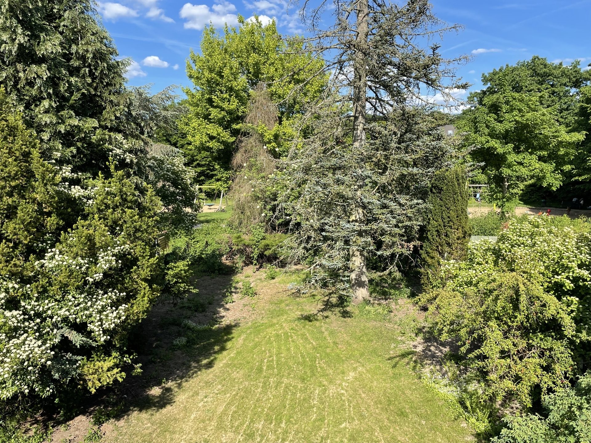 Immobilienangebot - Köln - Haus - Doppelhaushälfte mit großem Garten
