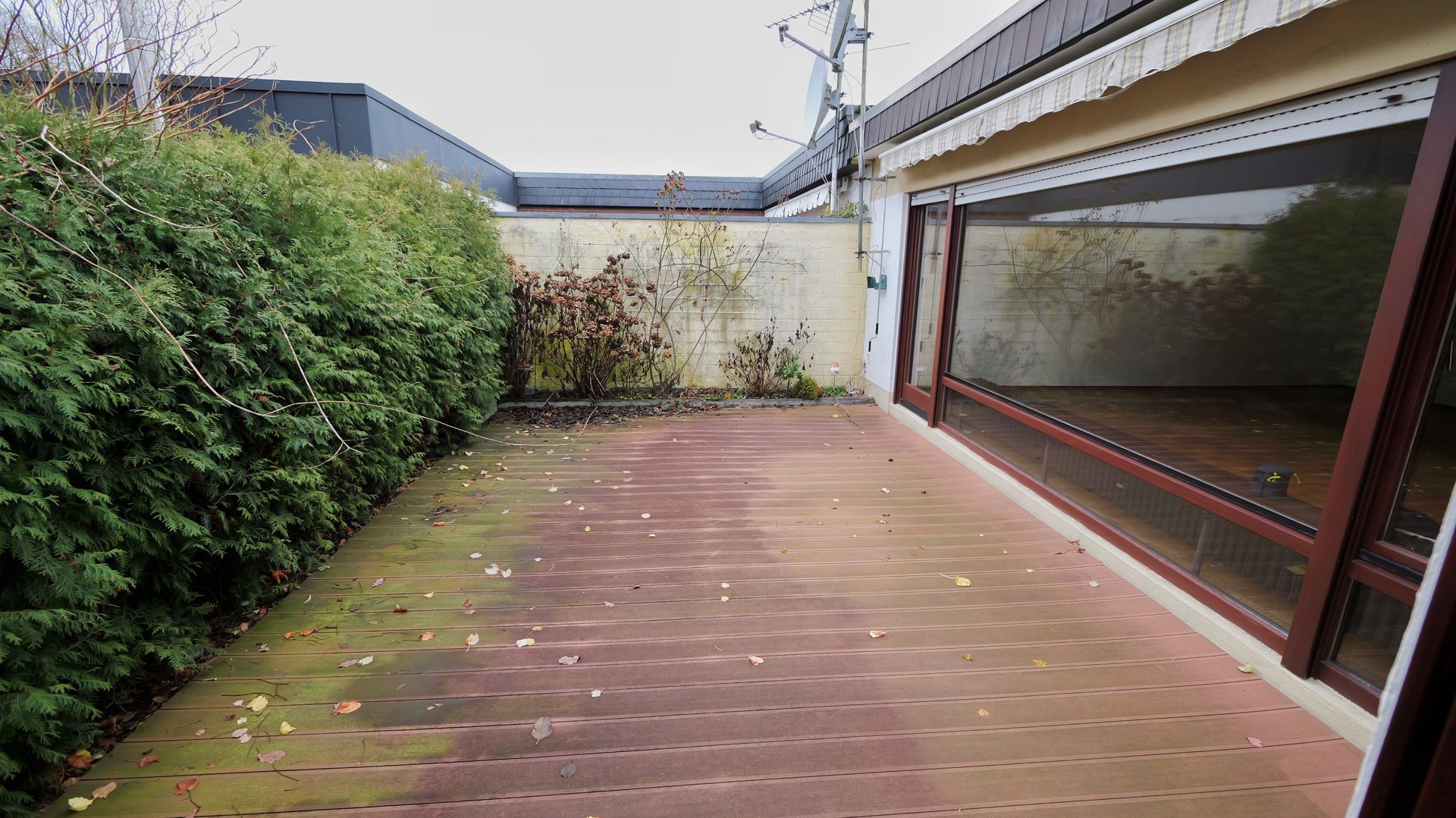 Immobilienangebot - Sankt Augustin / Hangelar - Haus - Ein echtes Raumwunder - leben auf einer Ebene