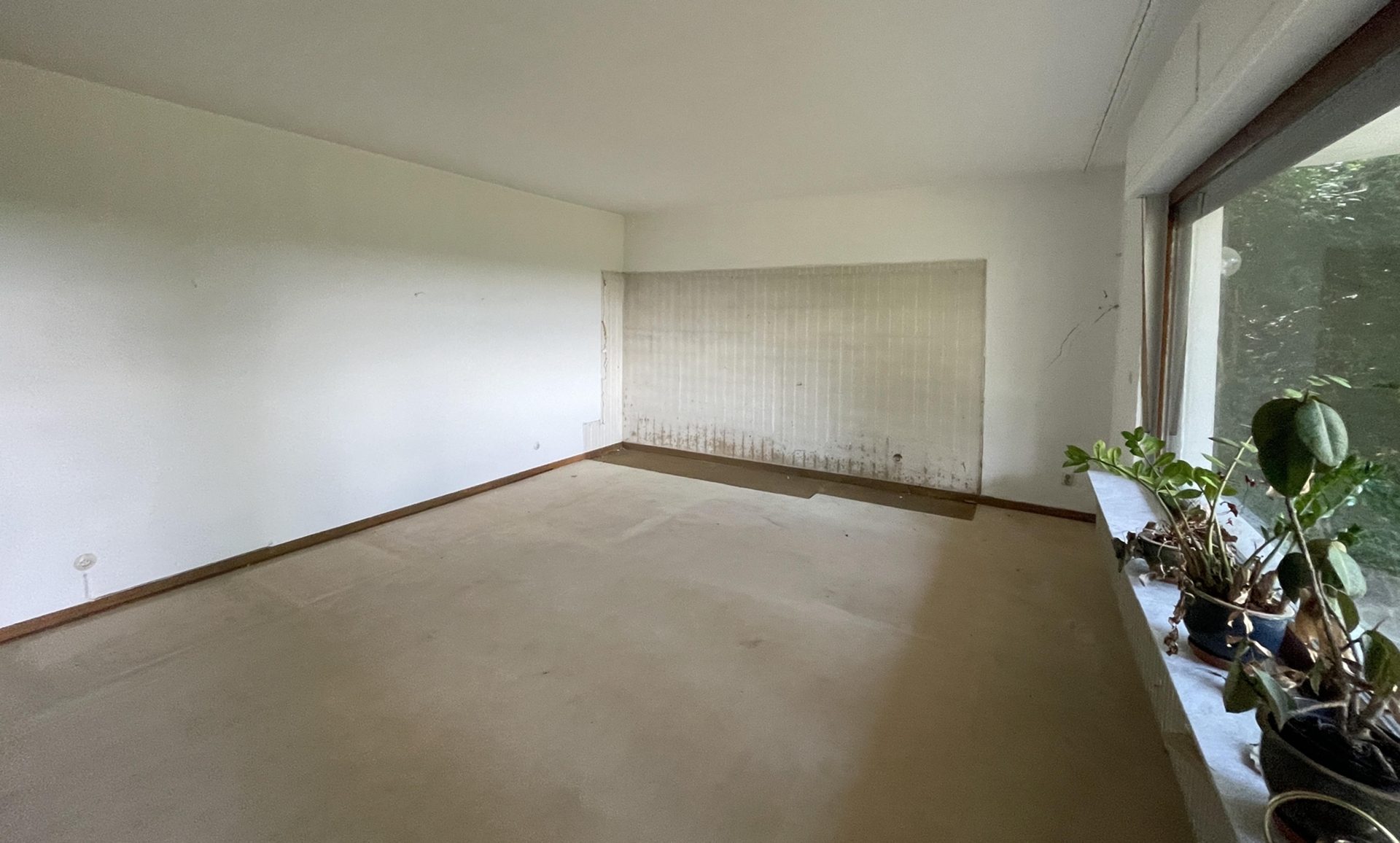 Immobilienangebot - Bonn / Ippendorf - Wohnung - Raum zur freien Entfaltung + Gartenparadies!