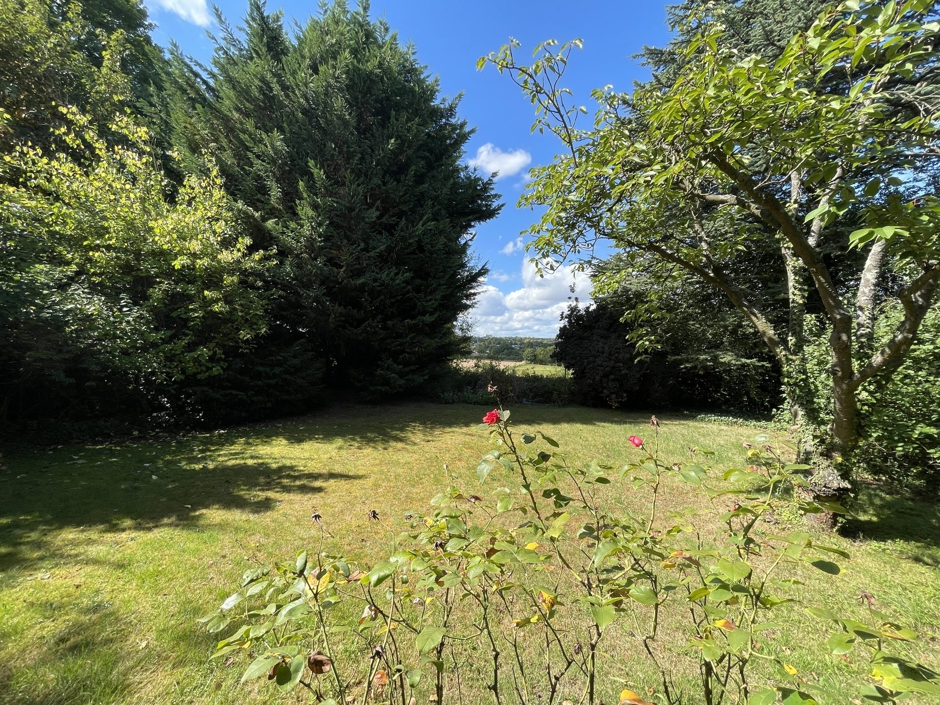 Immobilienangebot - Bonn / Ippendorf - Wohnung - Raum zur freien Entfaltung + Gartenparadies!