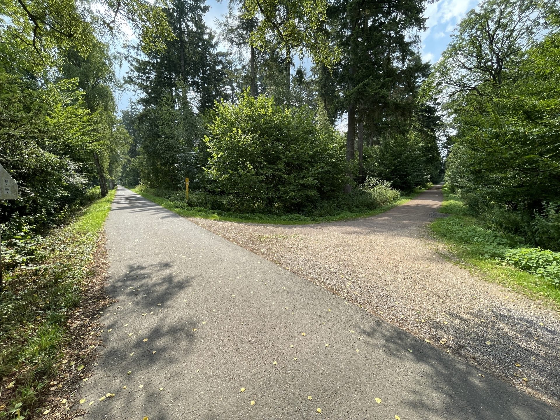 Immobilienangebot - Bonn - Haus - Unmittelbar am Kottenforst gelegenes Einfamilienhaus auf traumhaftem Grundstück!