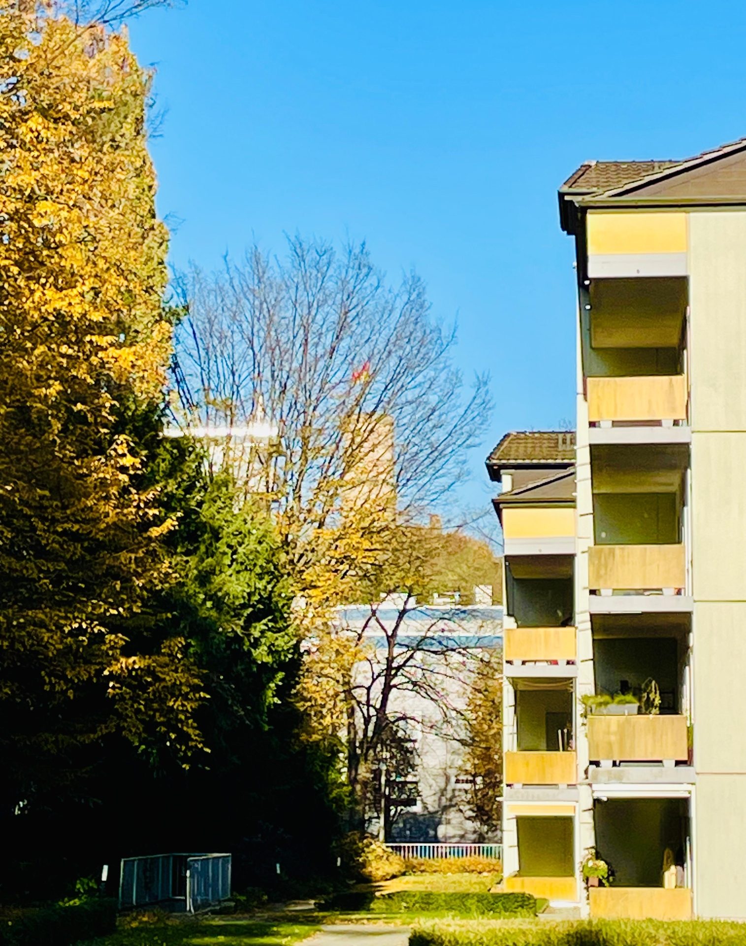Immobilienangebot - Bonn / Alt-Godesberg - Wohnung - Zentral leben am Fuß der Godesburg