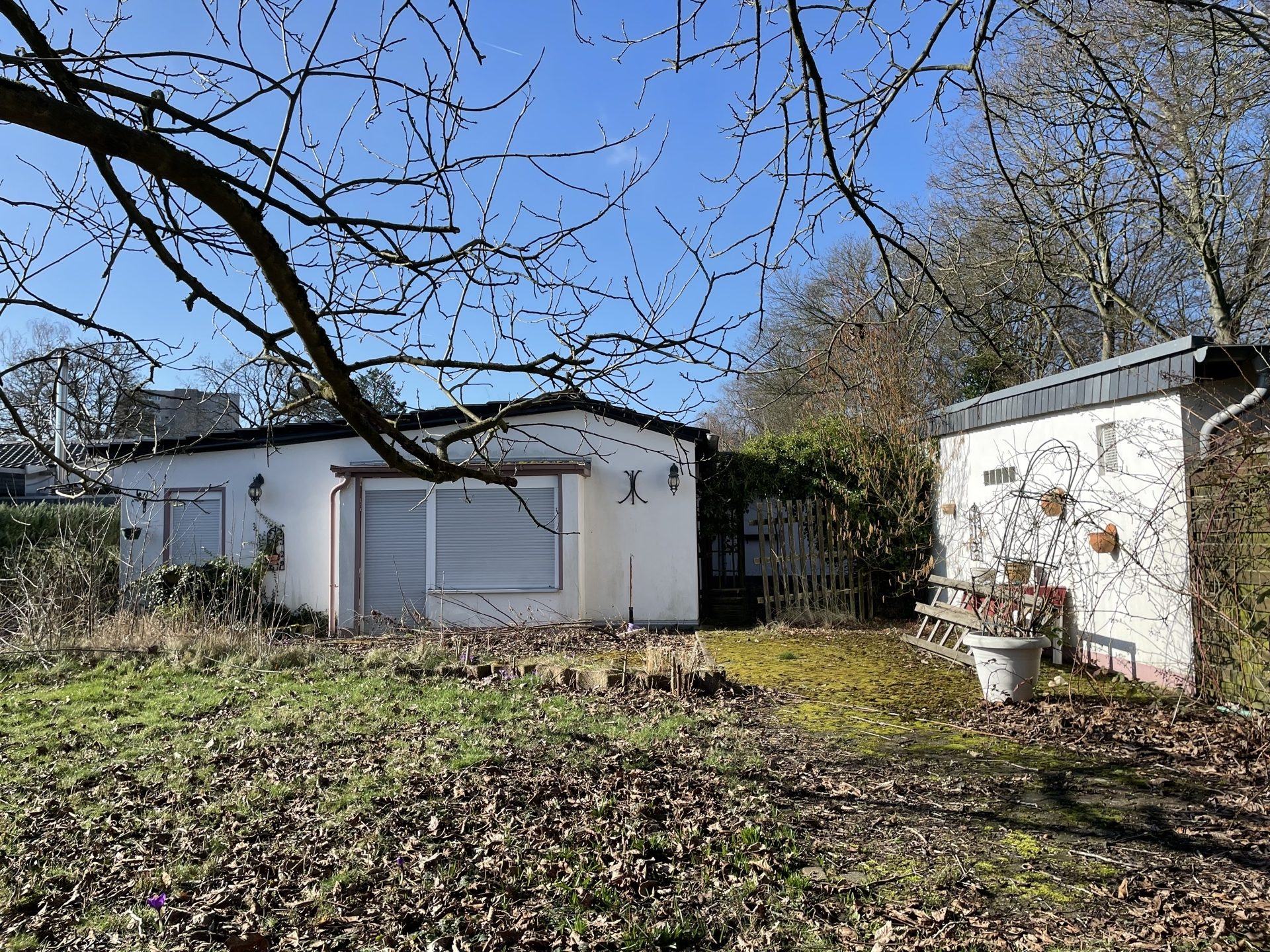 Immobilienangebot - Köln - Haus - Großzügiges Grundstück mit Entwicklungsperspektive!