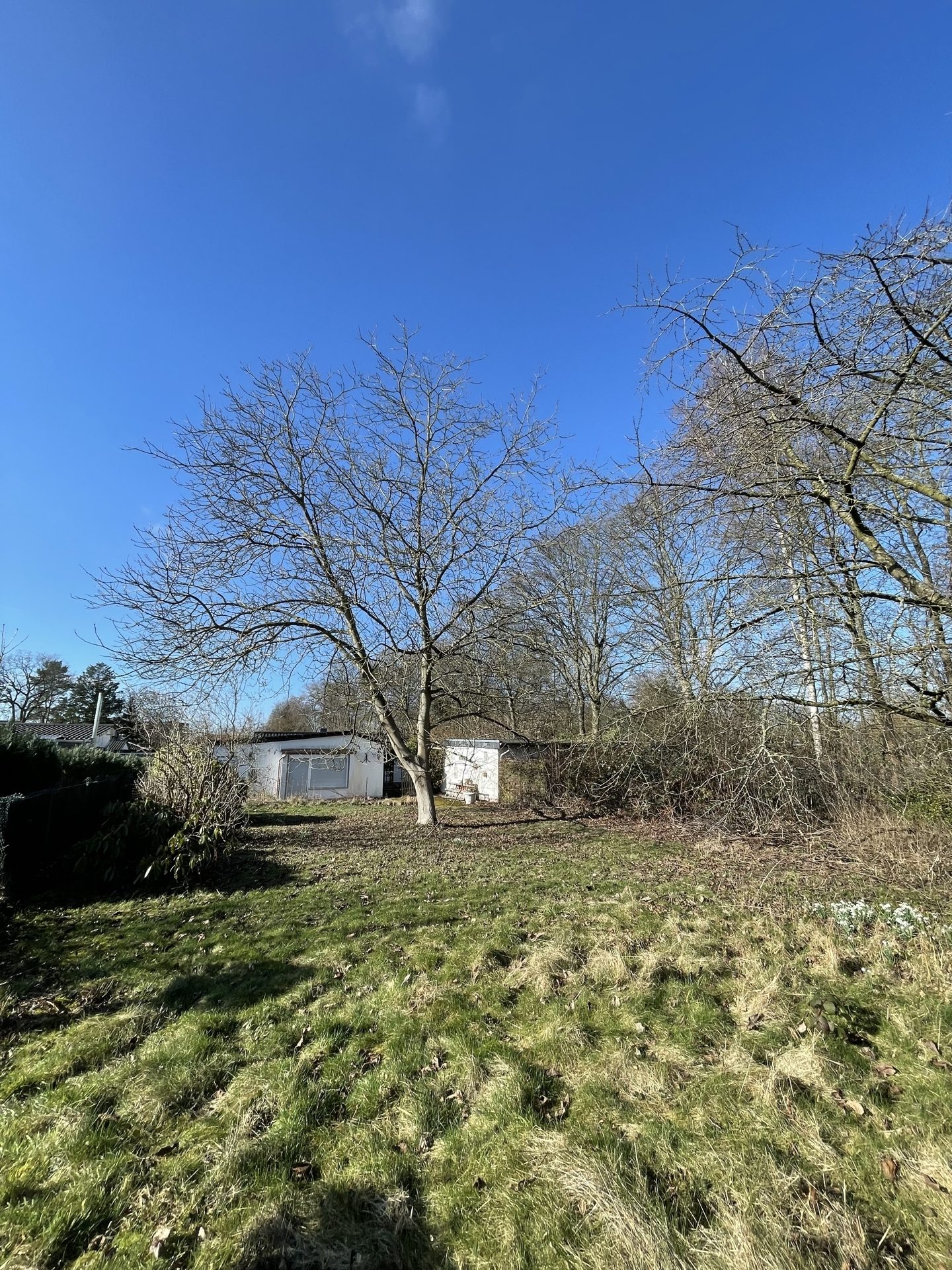 Immobilienangebot - Köln - Haus - Großzügiges Grundstück mit Entwicklungsperspektive!