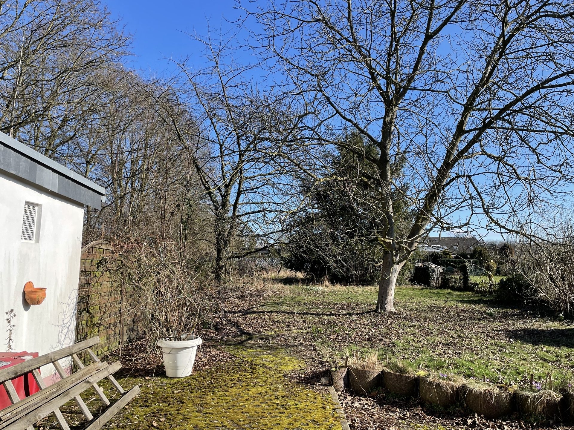 Immobilienangebot - Köln - Haus - Großzügiges Grundstück mit Entwicklungsperspektive!