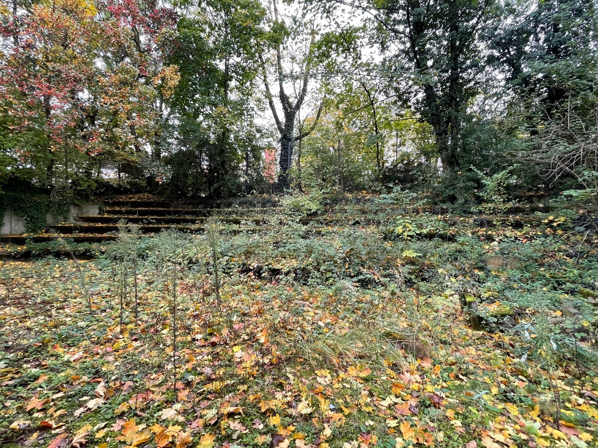 Immobilienangebot - Köln / Heimersdorf - Alle - Erbpacht - Betreutes Wohnen mit zentraler Anbindung im Kölner Stadtteil Heimersdorf