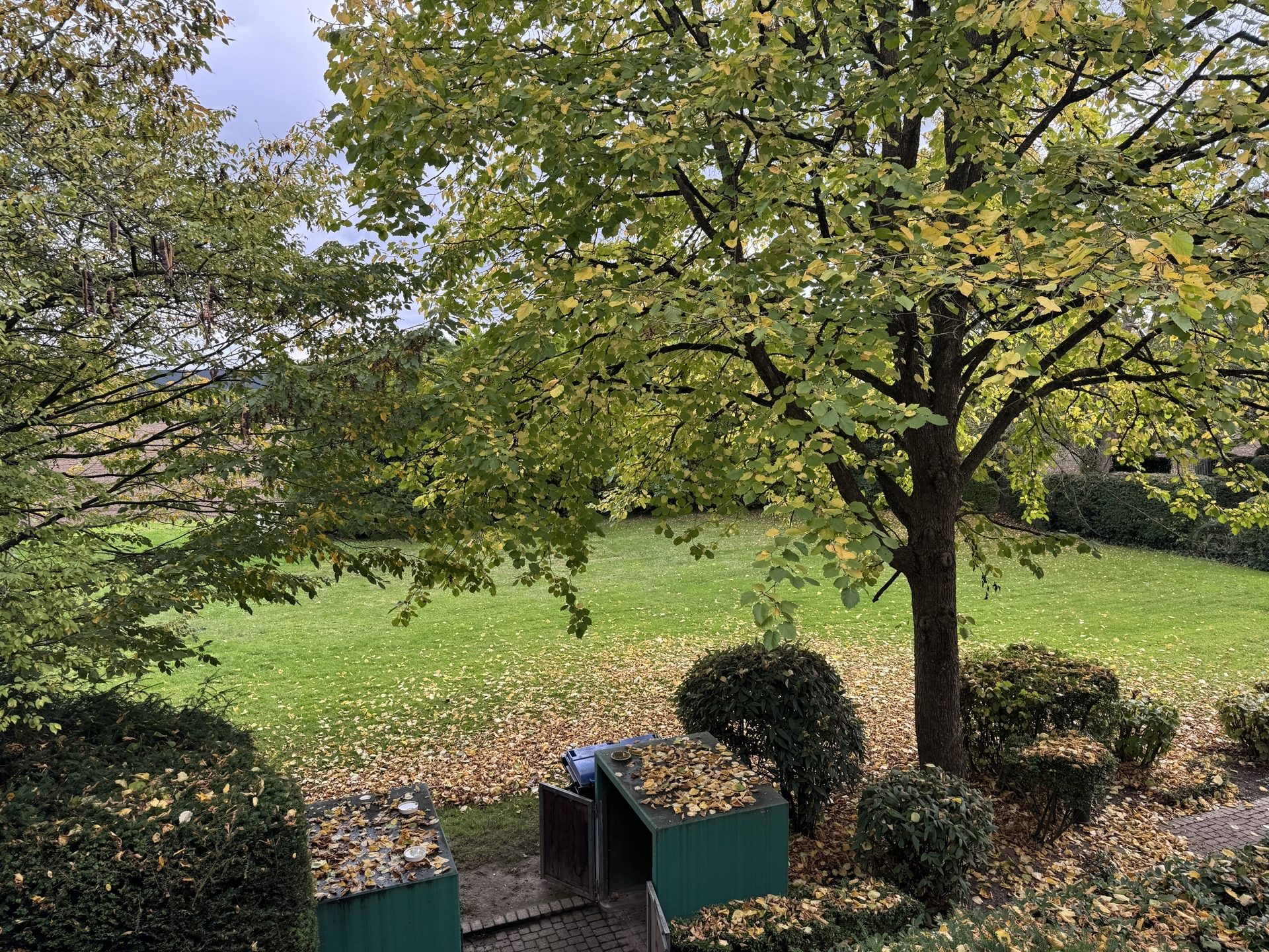 Immobilienangebot - Köln / Lövenich - Wohnung - Gut geschnitten - ruhig gelegen - Blick ins Grüne mit Stellplatz in gepflegter Umgebung