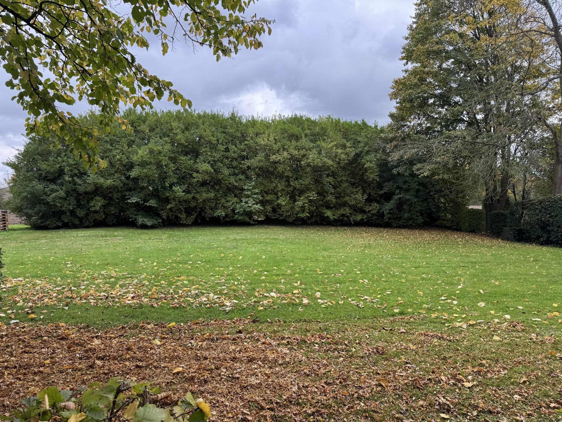 Immobilienangebot - Köln / Lövenich - Wohnung - Gut geschnitten - ruhig gelegen - Blick ins Grüne mit Stellplatz in gepflegter Umgebung
