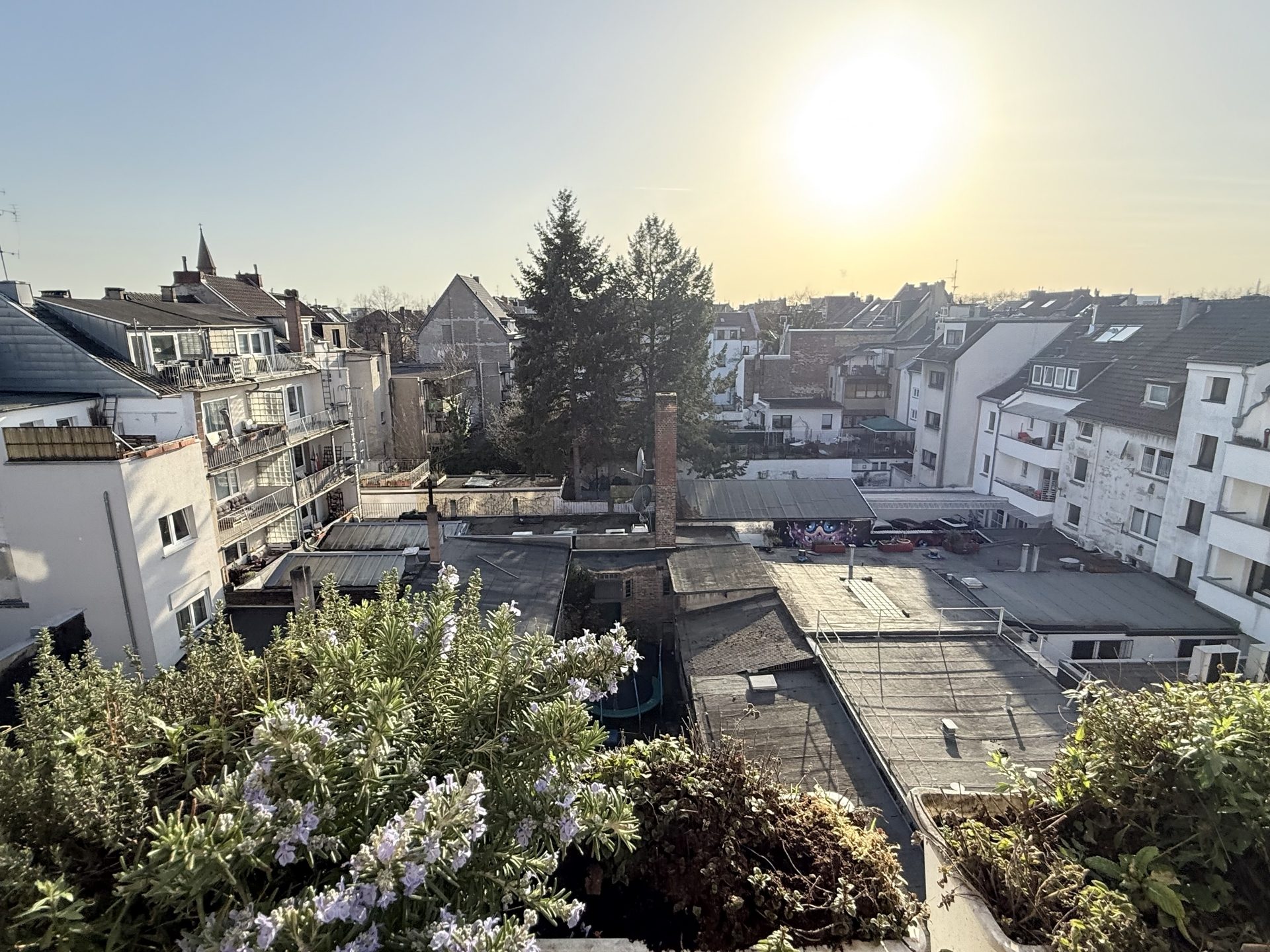 Immobilienangebot - Köln - Alle - Mehr POTENTIAL geht nicht!