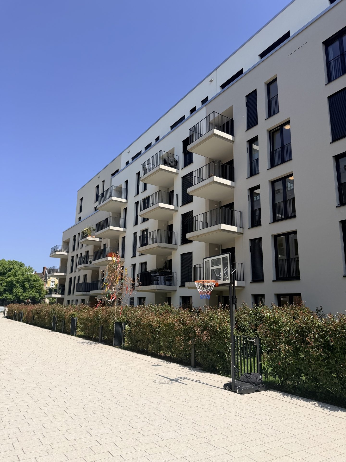 Immobilienangebot - Bonn - Wohnung - Einmalige Gelegenheit: Exklusive 2-Zimmer-Wohnung im Herzen der Stadt