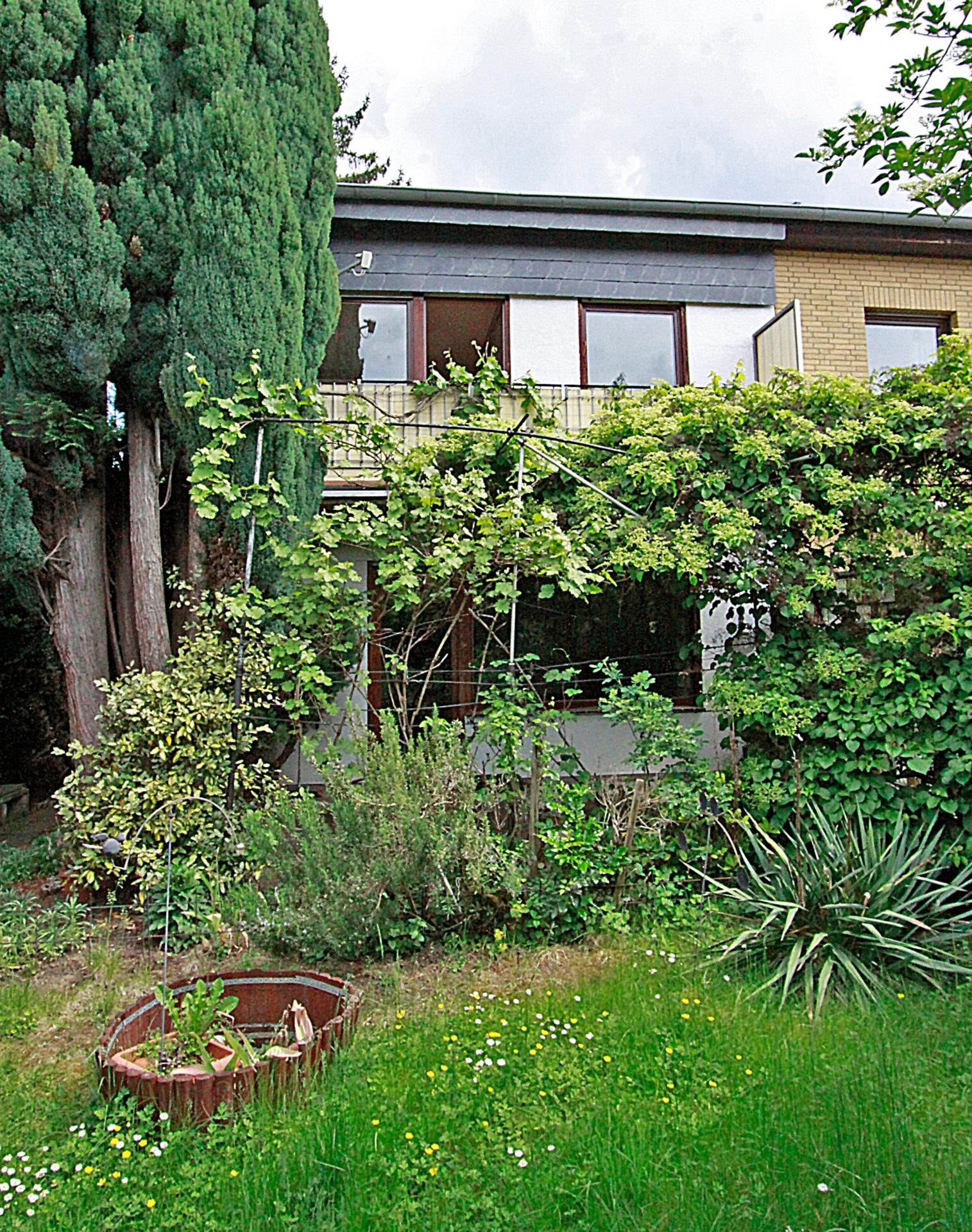 Immobilienangebot - Bonn / Mehlem - Haus - Machen Sie was draus!