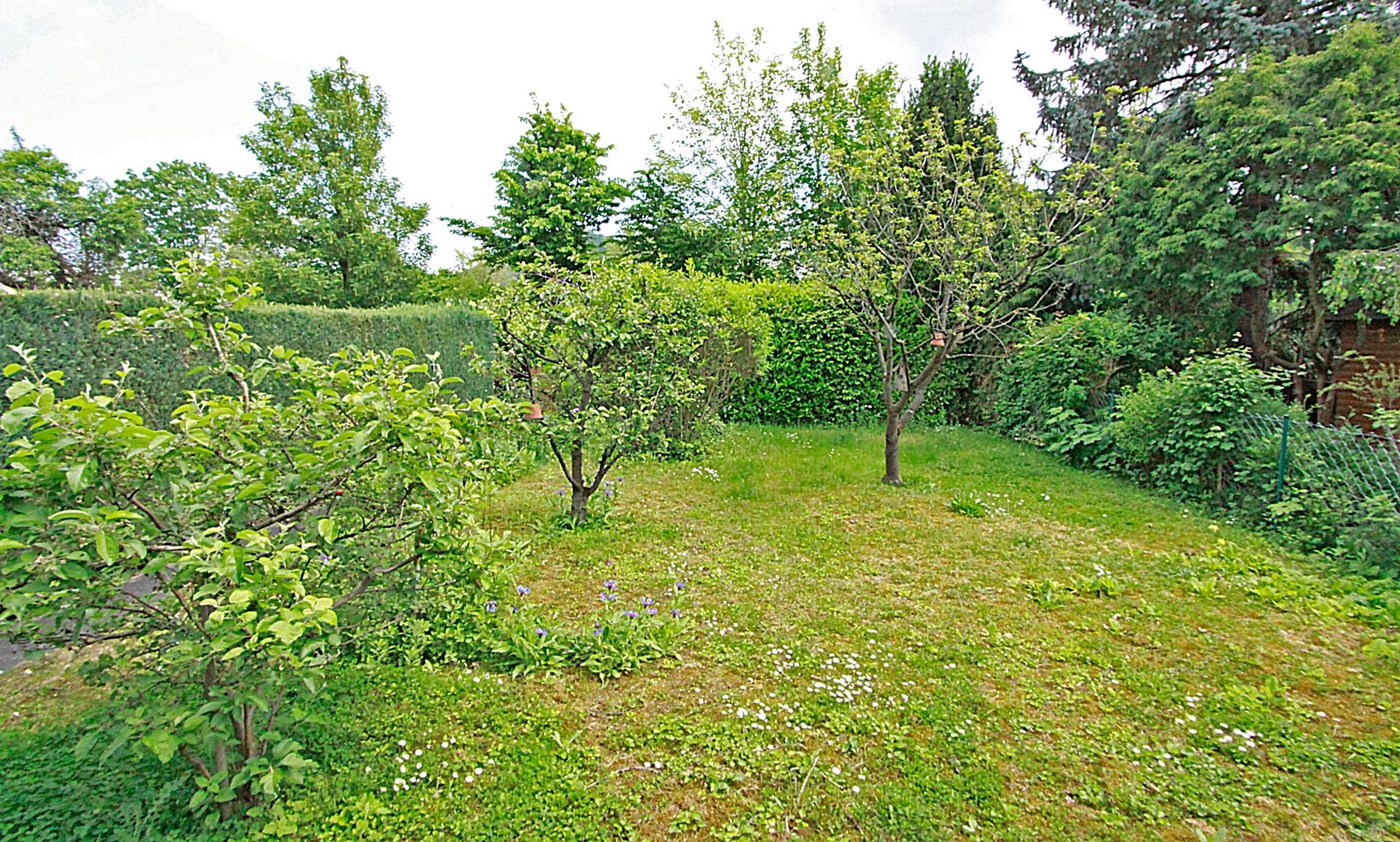Immobilienangebot - Bonn / Mehlem - Haus - Machen Sie was draus!