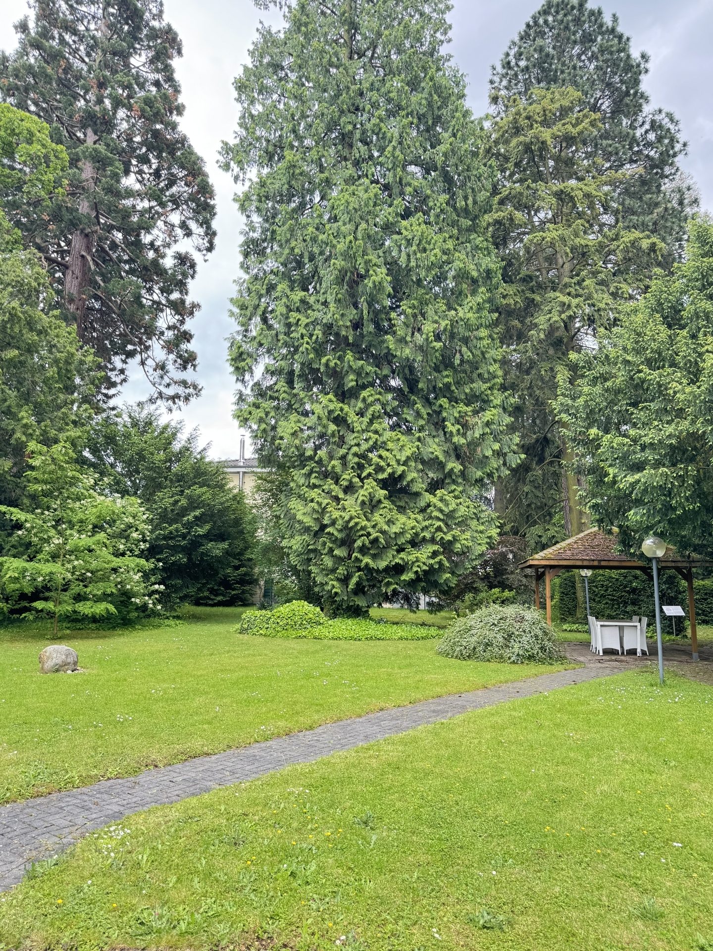 Immobilienangebot - Bad Honnef - Wohnung - Wohnen mit Service und hoher Lebensqualität - oder attraktive Kapitalanlage!