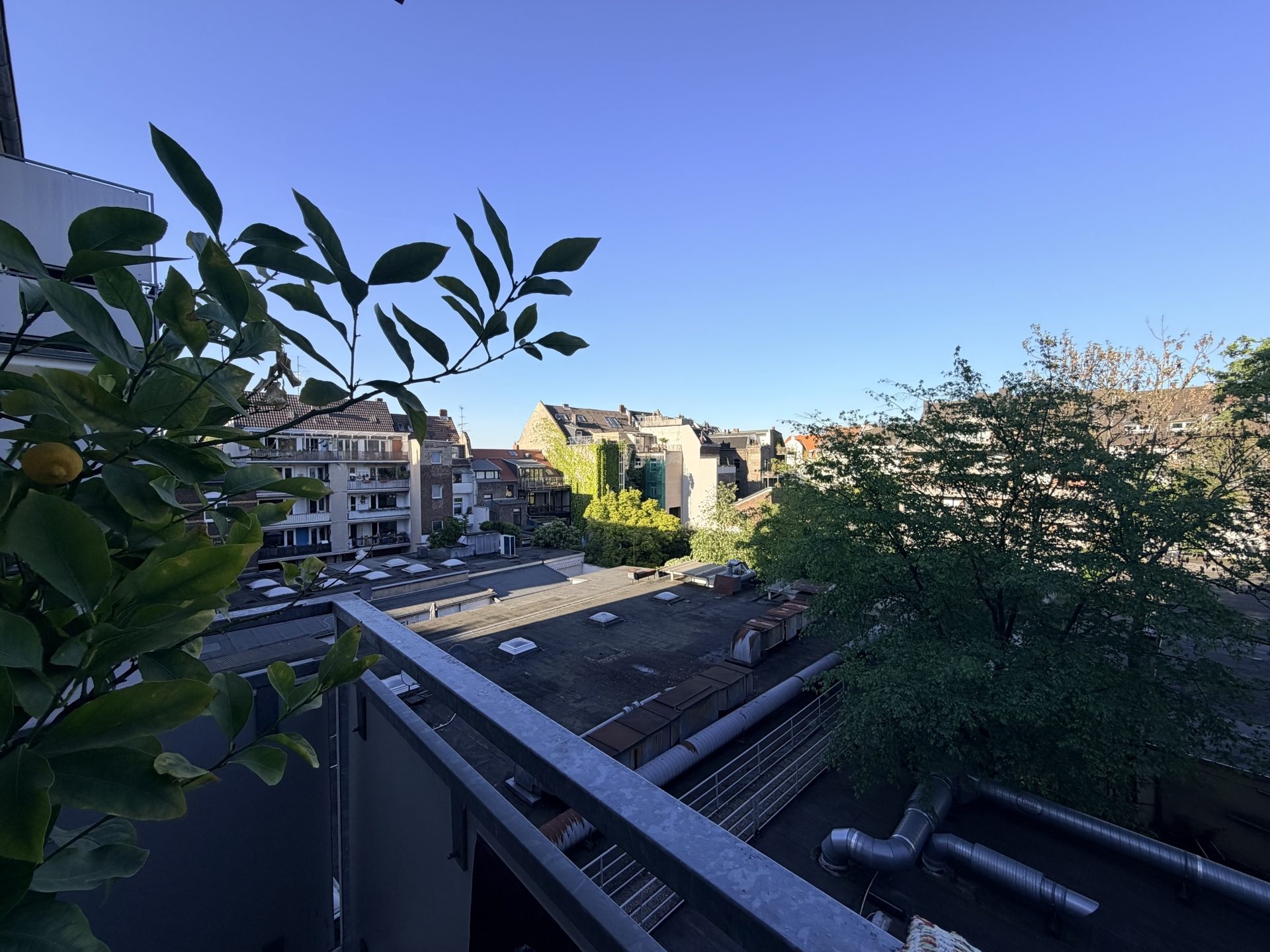 Immobilienangebot - Köln / Nippes - Wohnung - Moderne 2-Zimmer-Wohnung mit Balkon in begehrter Lage – jetzt entdecken!