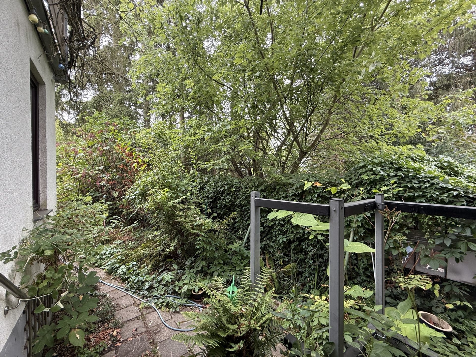 Immobilienangebot - Kerpen / Brüggen - Haus - FREISTEHEND mit großem Grundstück!