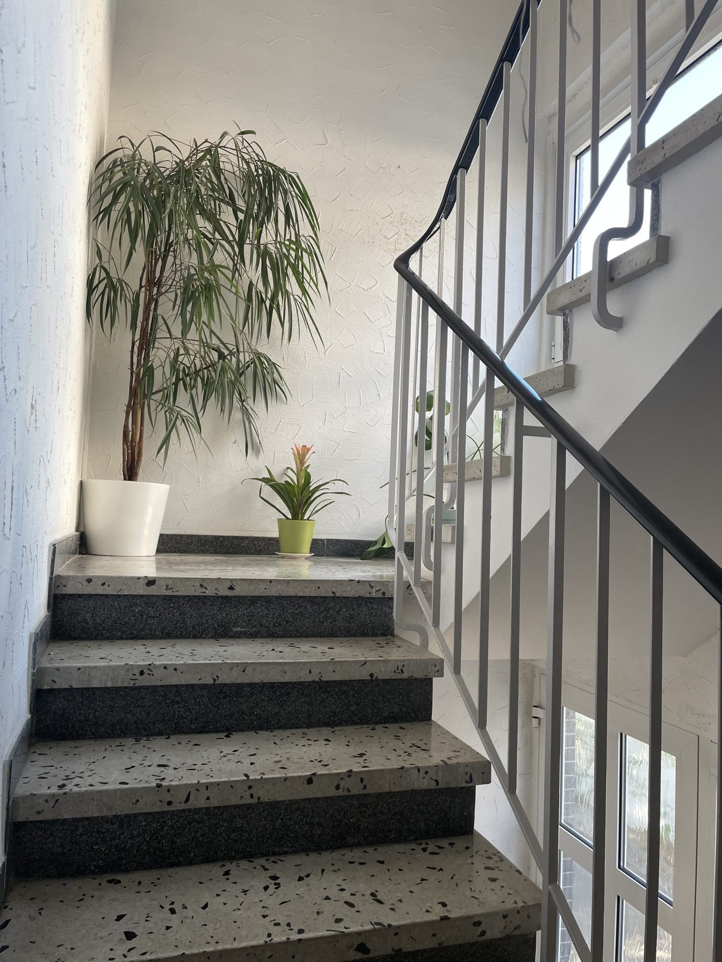 Immobilienangebot - Bonn - Haus - Frei und voller Möglichkeiten – Einfamilienhaus mit Einliegerwohnung