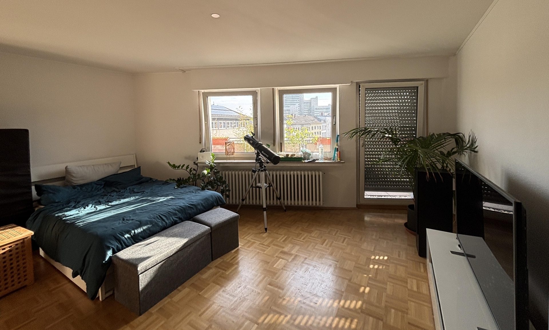 Immobilienangebot - Bonn / Zentrum - Wohnung - Vermietete 1-Zimmer-Eigentumswohnung mit großer Dachterrasse