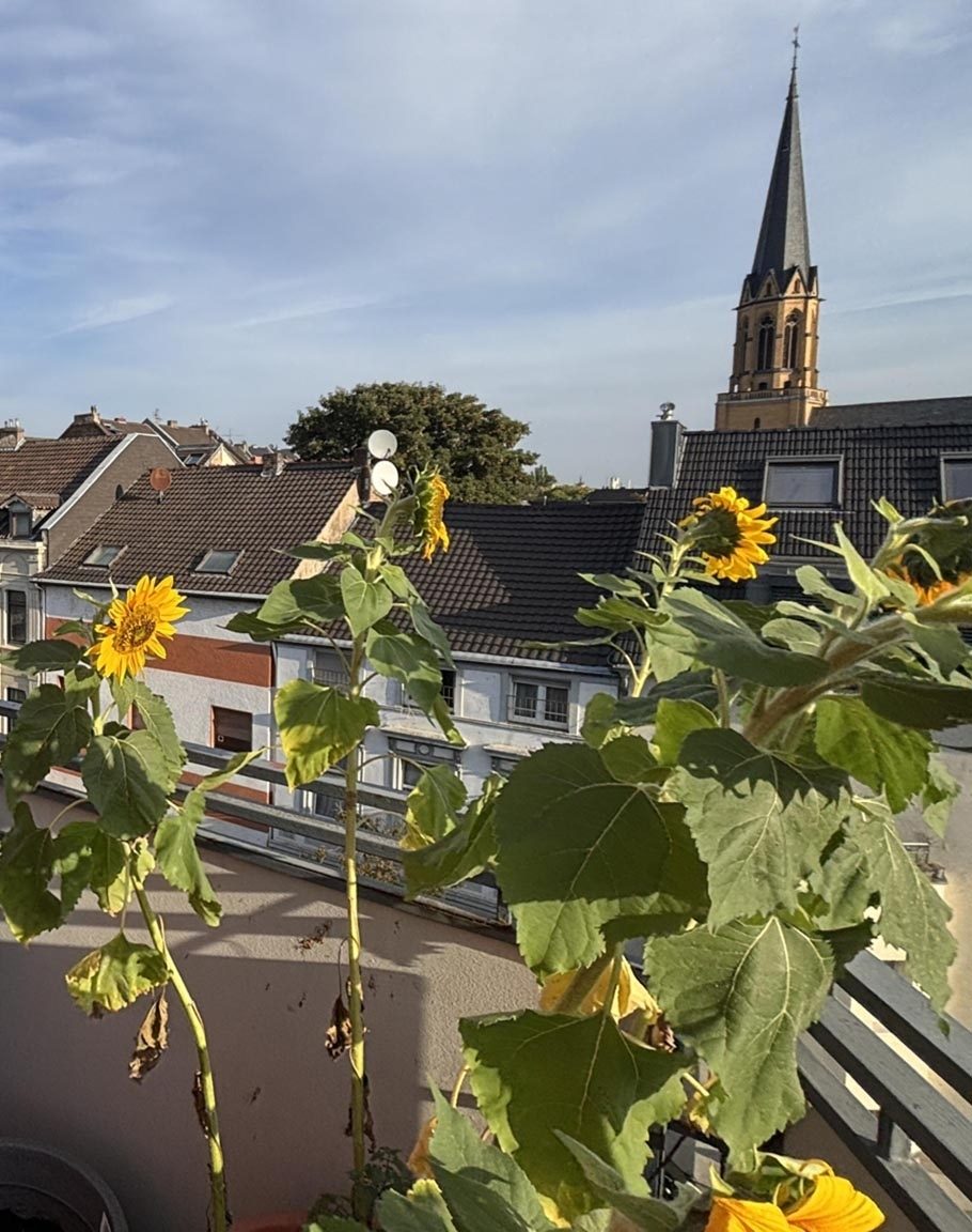 Immobilienangebot - Bonn / Zentrum - Wohnung - Vermietete 1-Zimmer-Eigentumswohnung mit großer Dachterrasse