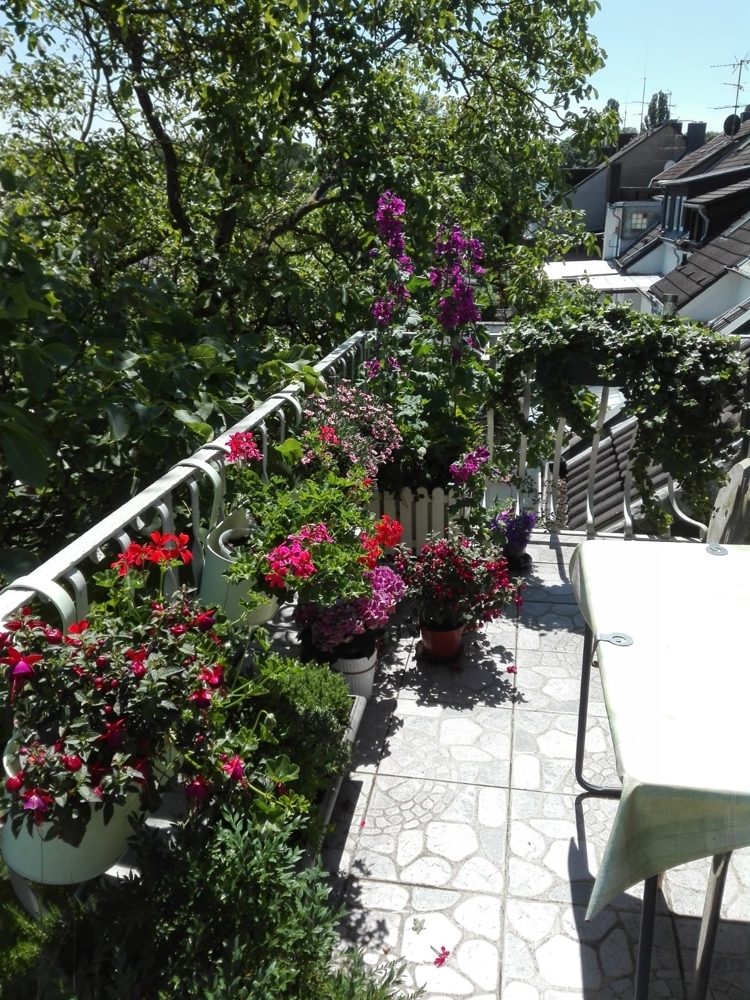 Immobilienangebot - Düsseldorf - Alle - Benrath: sehr schöne 2-Zimmerwohnung mit Blick ins Grüne