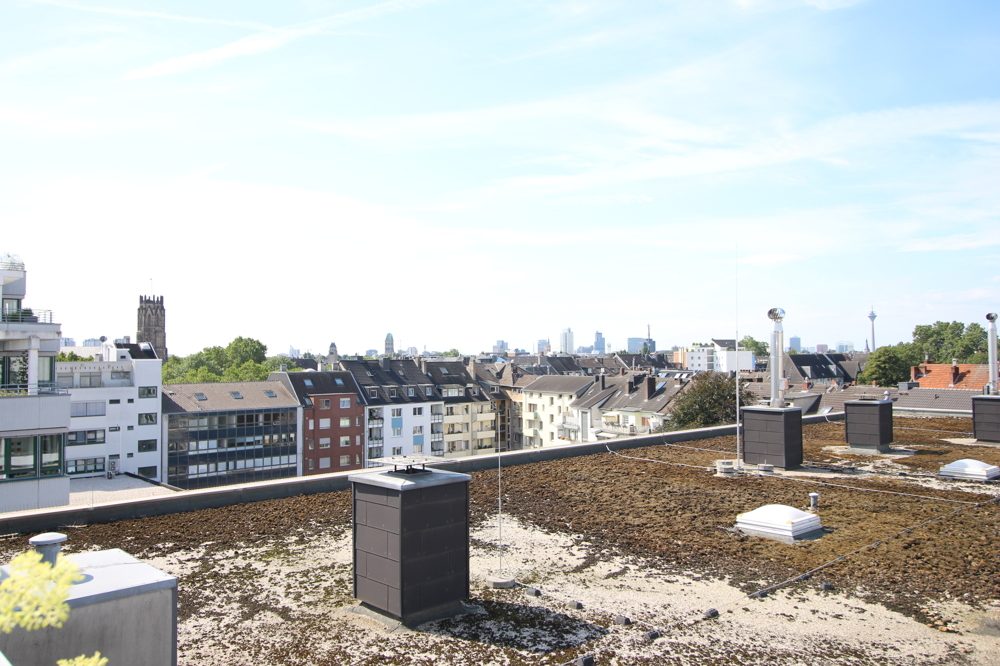 Immobilienangebot - Düsseldorf / Derendorf - Alle - Derendorf: moderne 3 - Zimmer Penthousewohnung mit großer Sonnenterrasse und Wintergarten