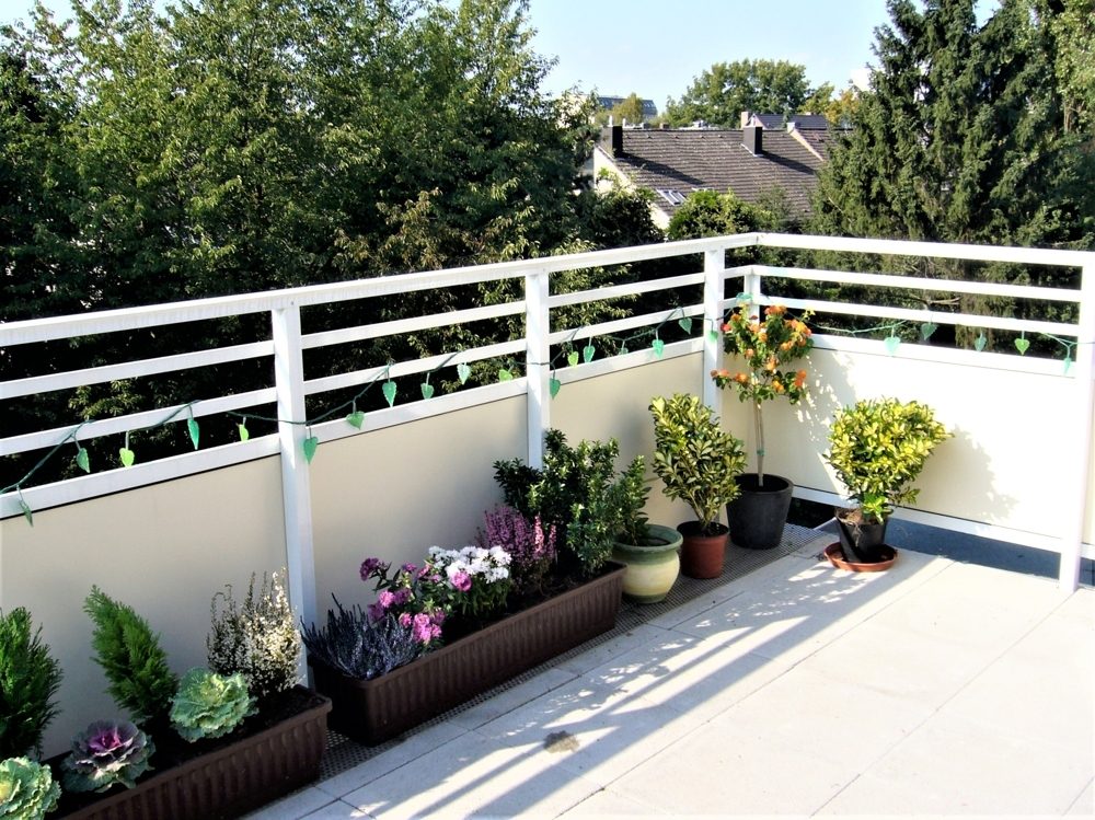 Immobilienangebot - Düsseldorf / Lörick - Alle - Lörick: voll möblierte 2- Zimmer ETW mit toller Dachterrasse und TG-Stellplatz in gefragter Lage