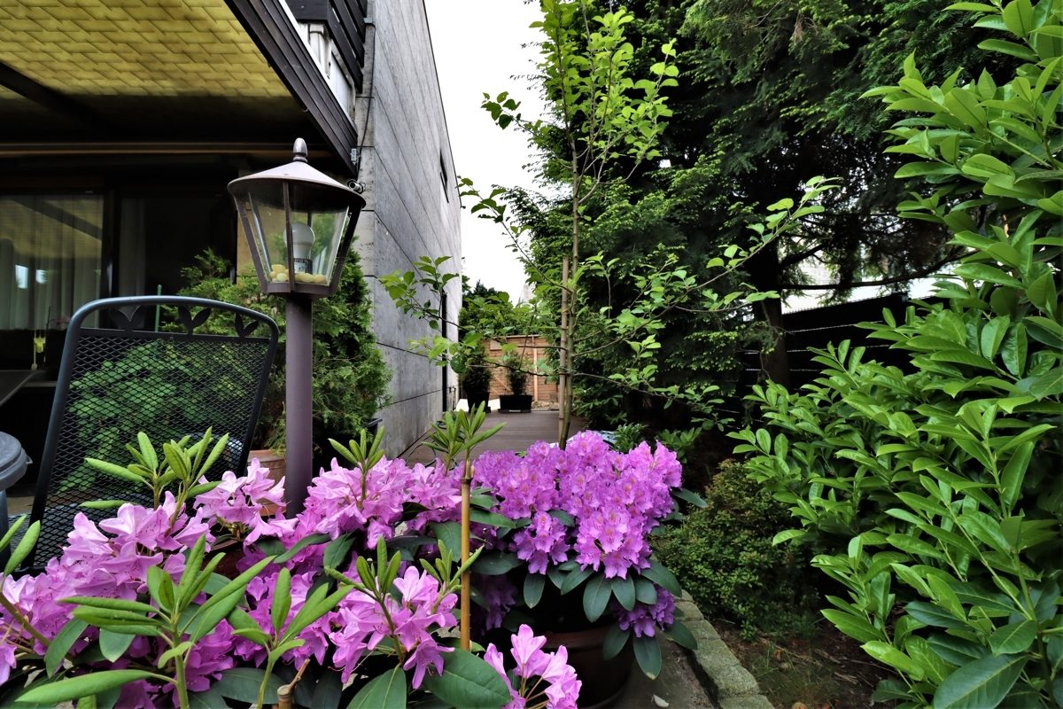 Immobilienangebot - Erkrath - Alle - Unterfeldhaus: gepflegtes Reihenendhaus mit Südwest Garten, Garage und Sauna in ruhiger Lage